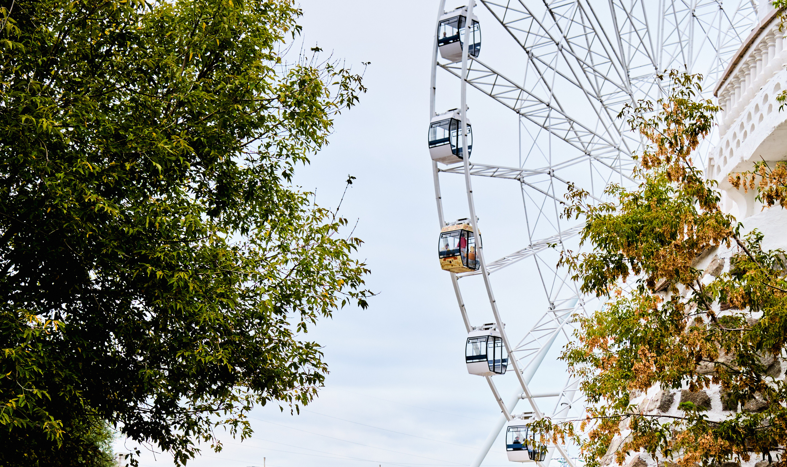 Фотограф Владимир Кононенко