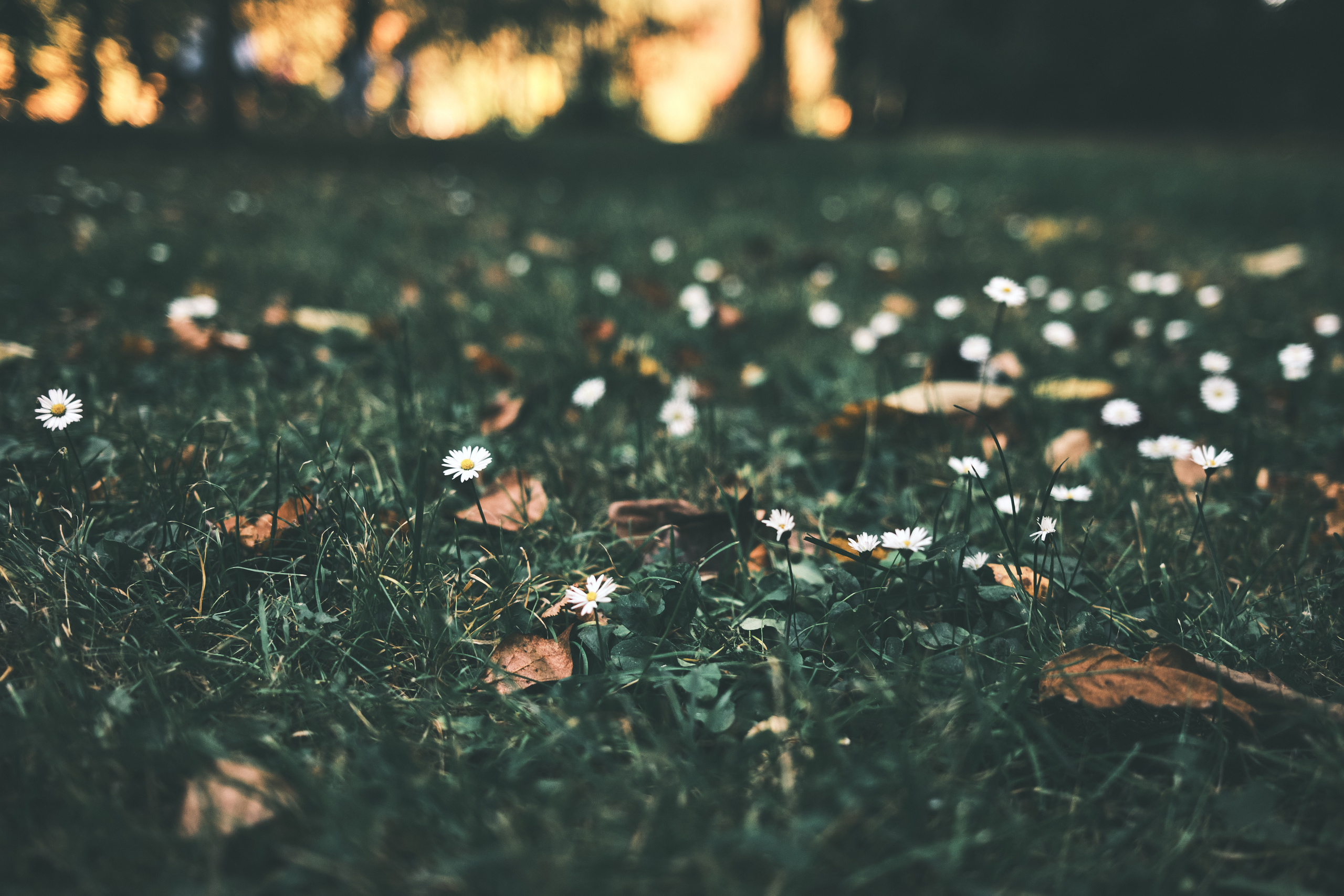 Фотограф Владимир Кононенко