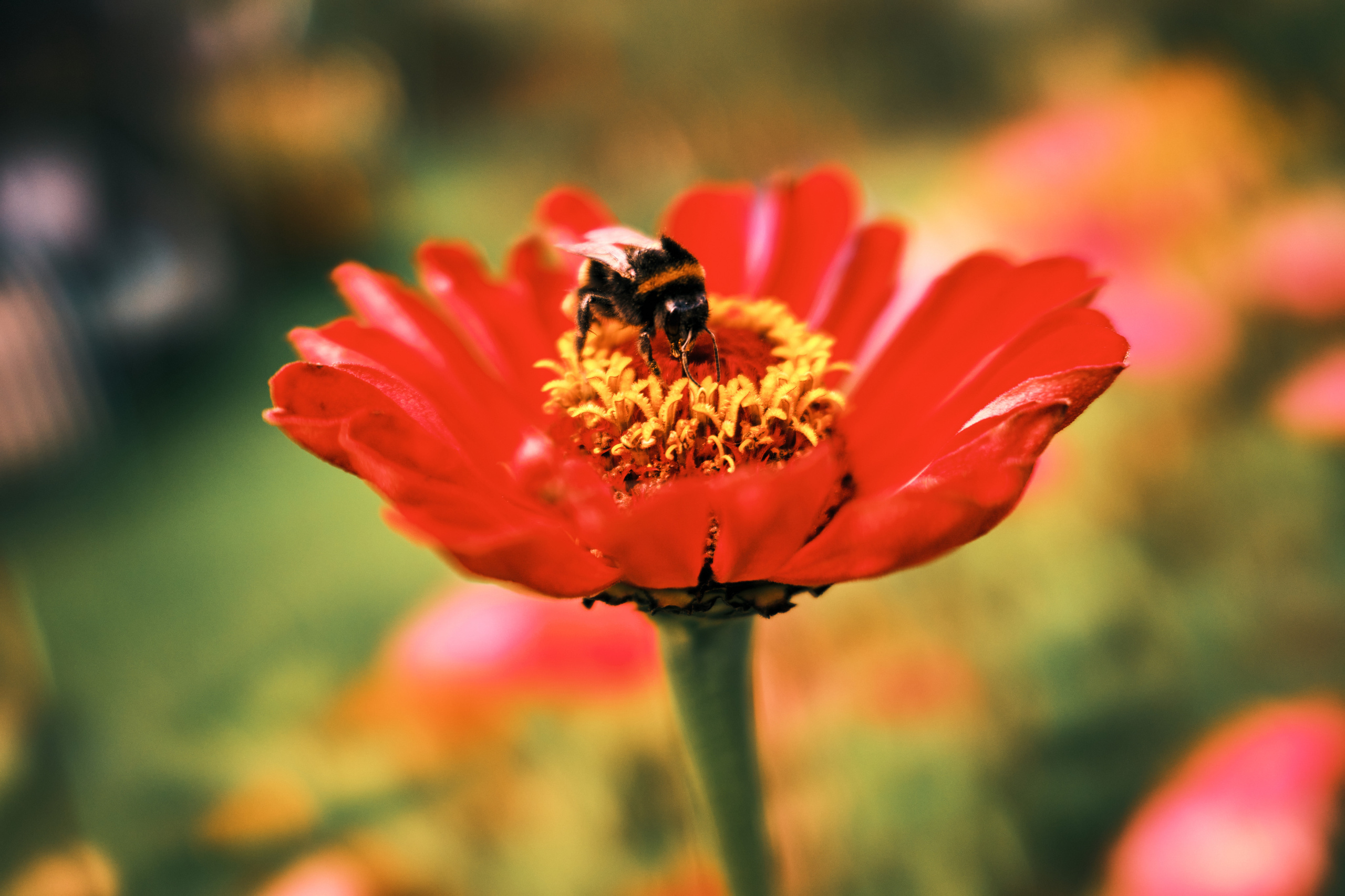 Фотограф Владимир Кононенко