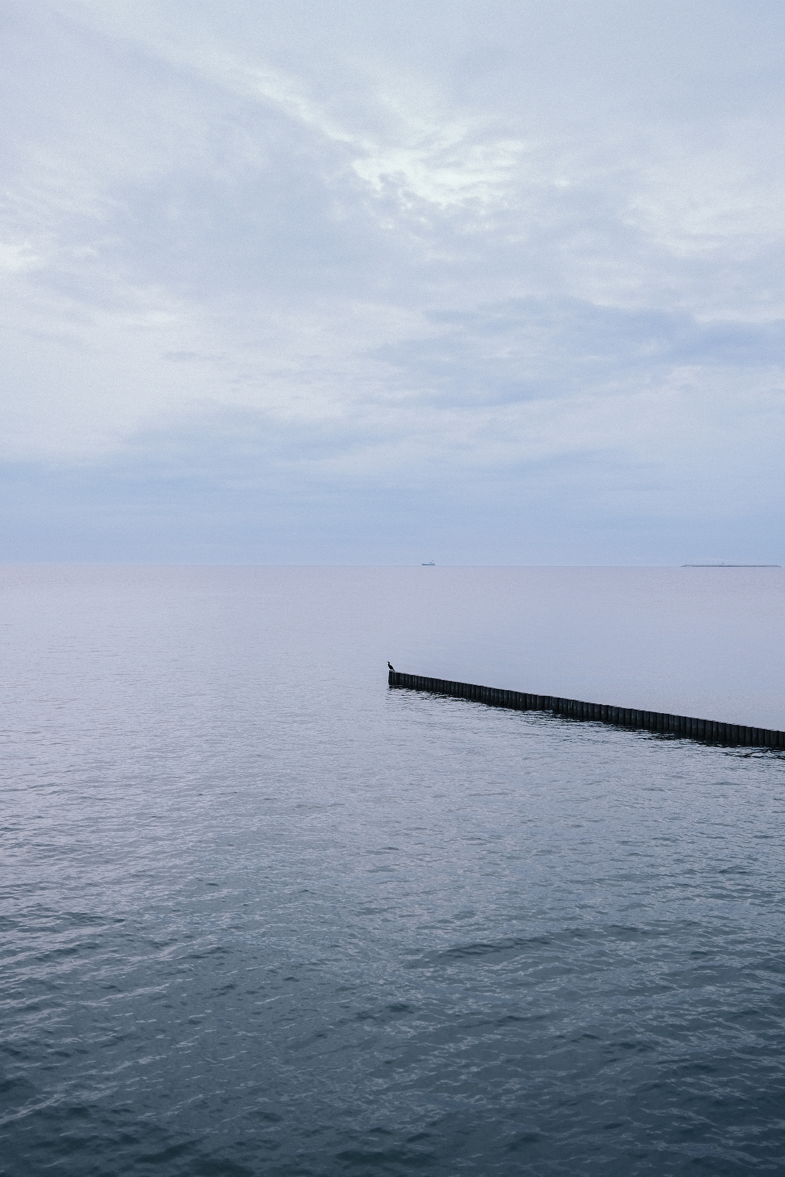 Фотограф Владимир Кононенко