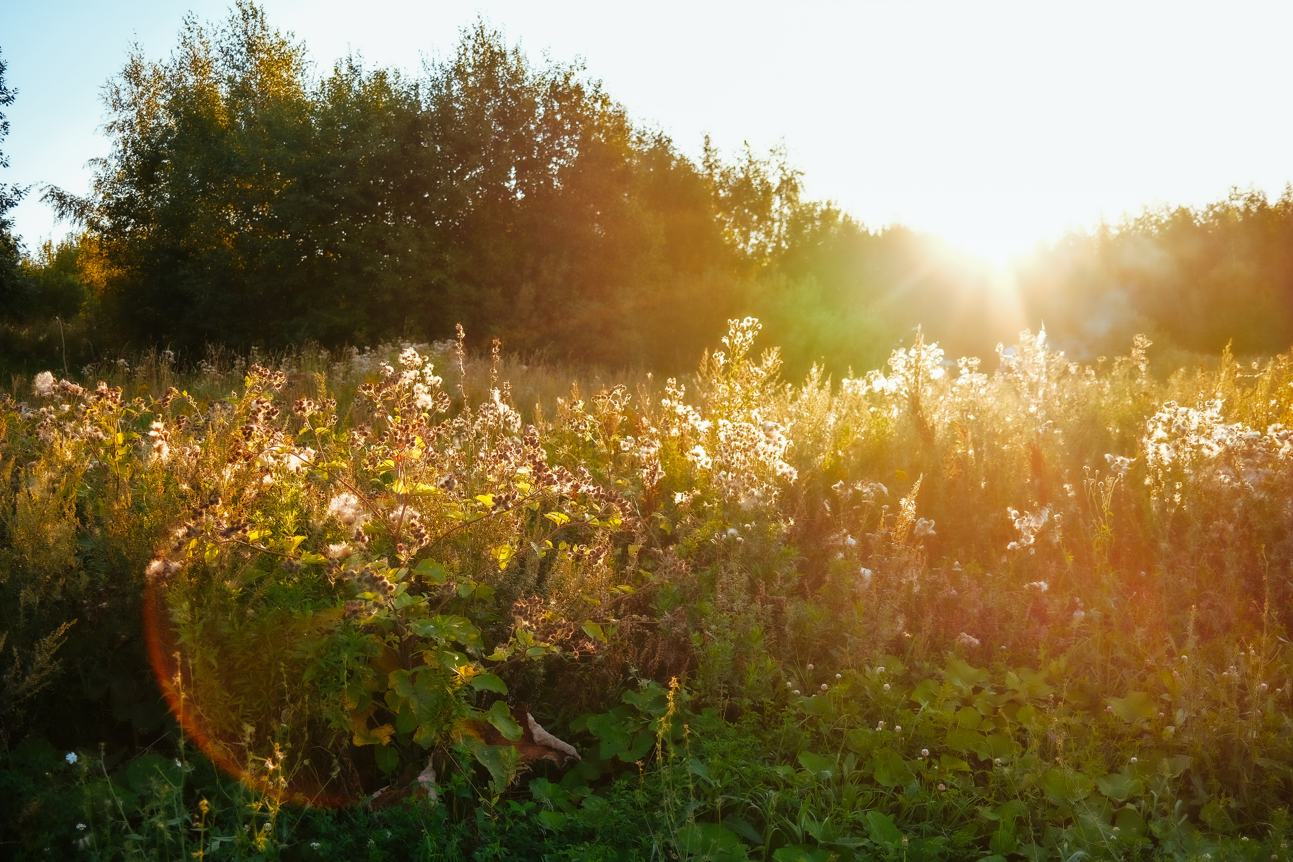 Фотограф Владимир Кононенко