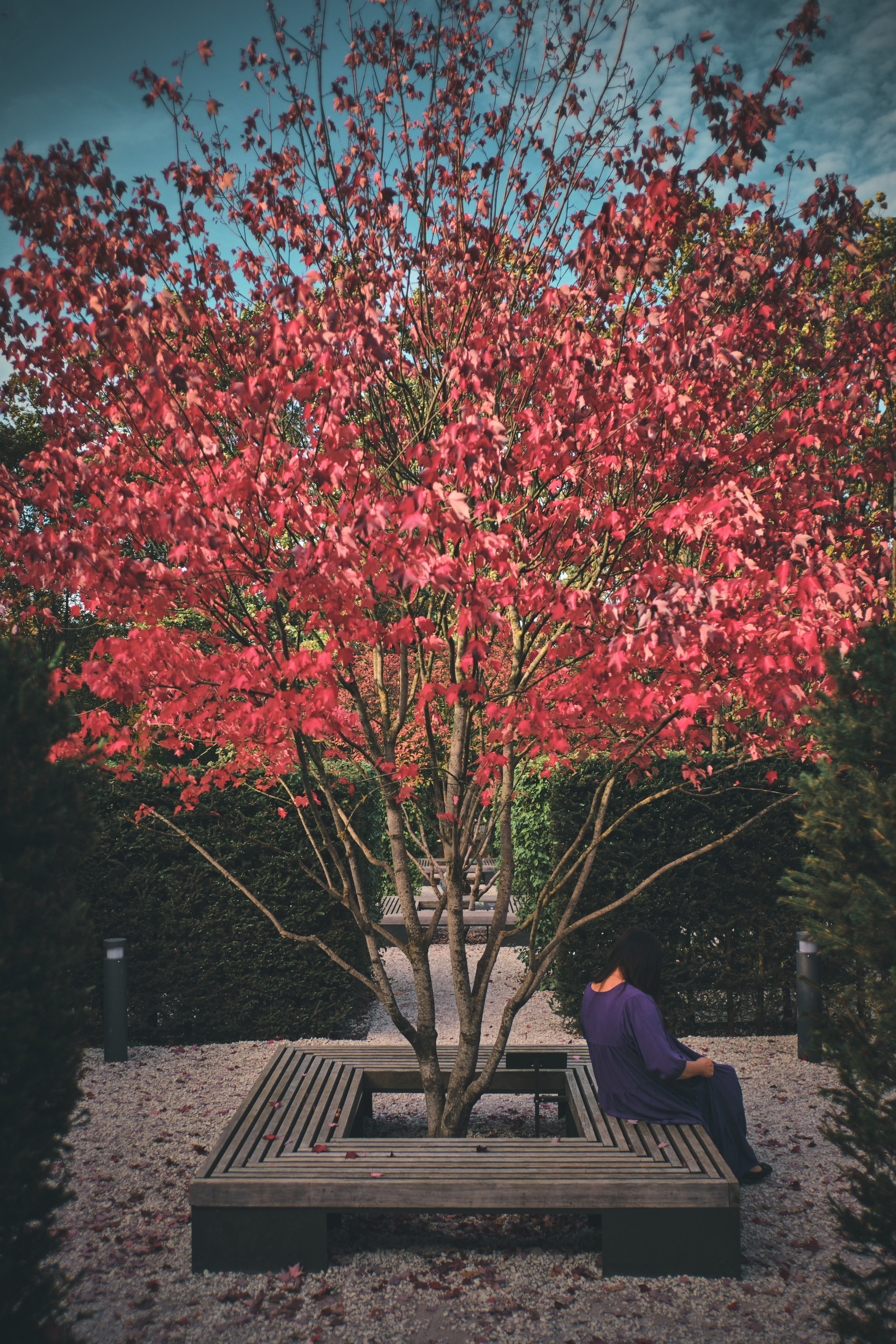 Фотограф Владимир Кононенко