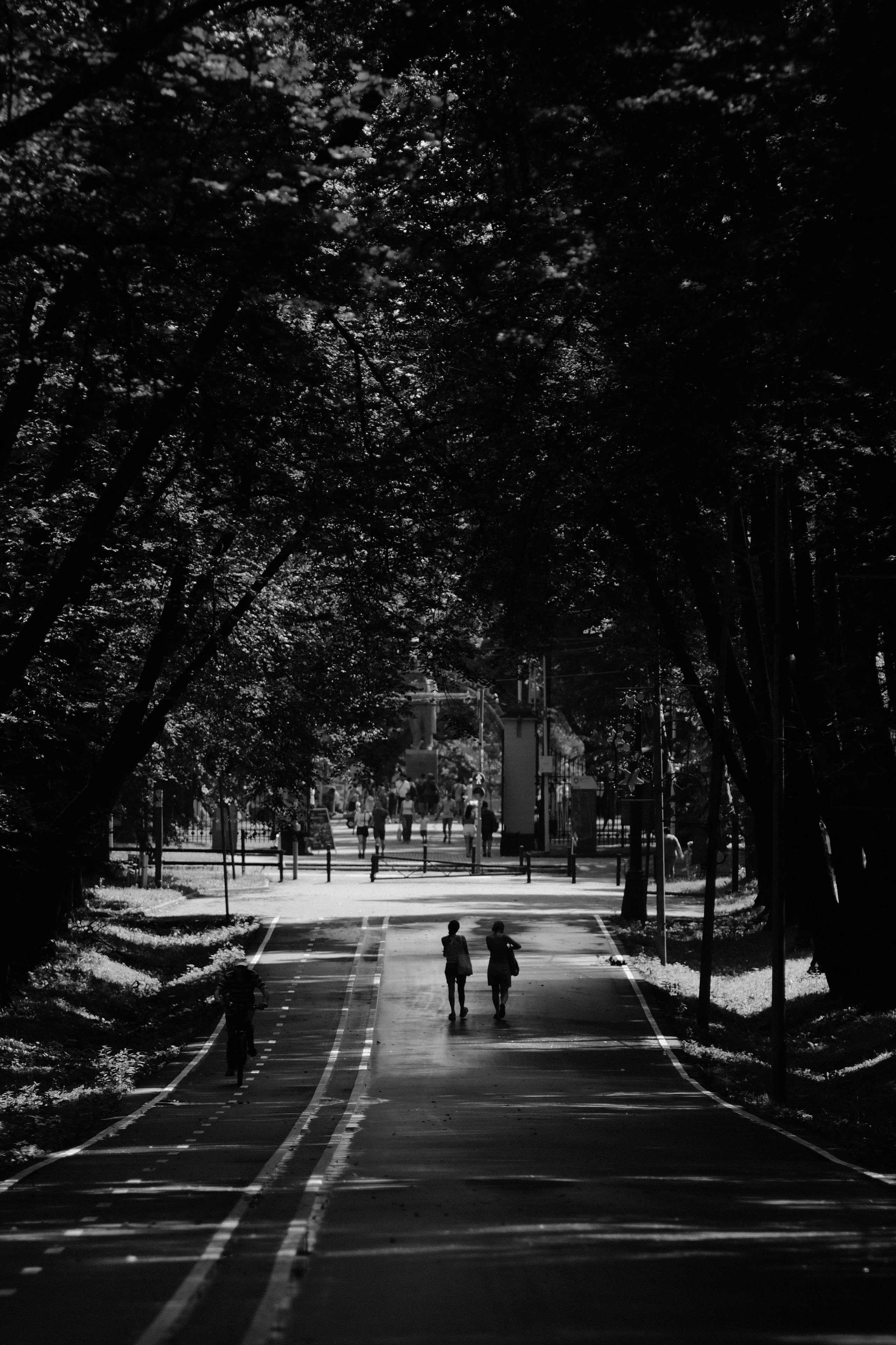 Фотограф Владимир Кононенко