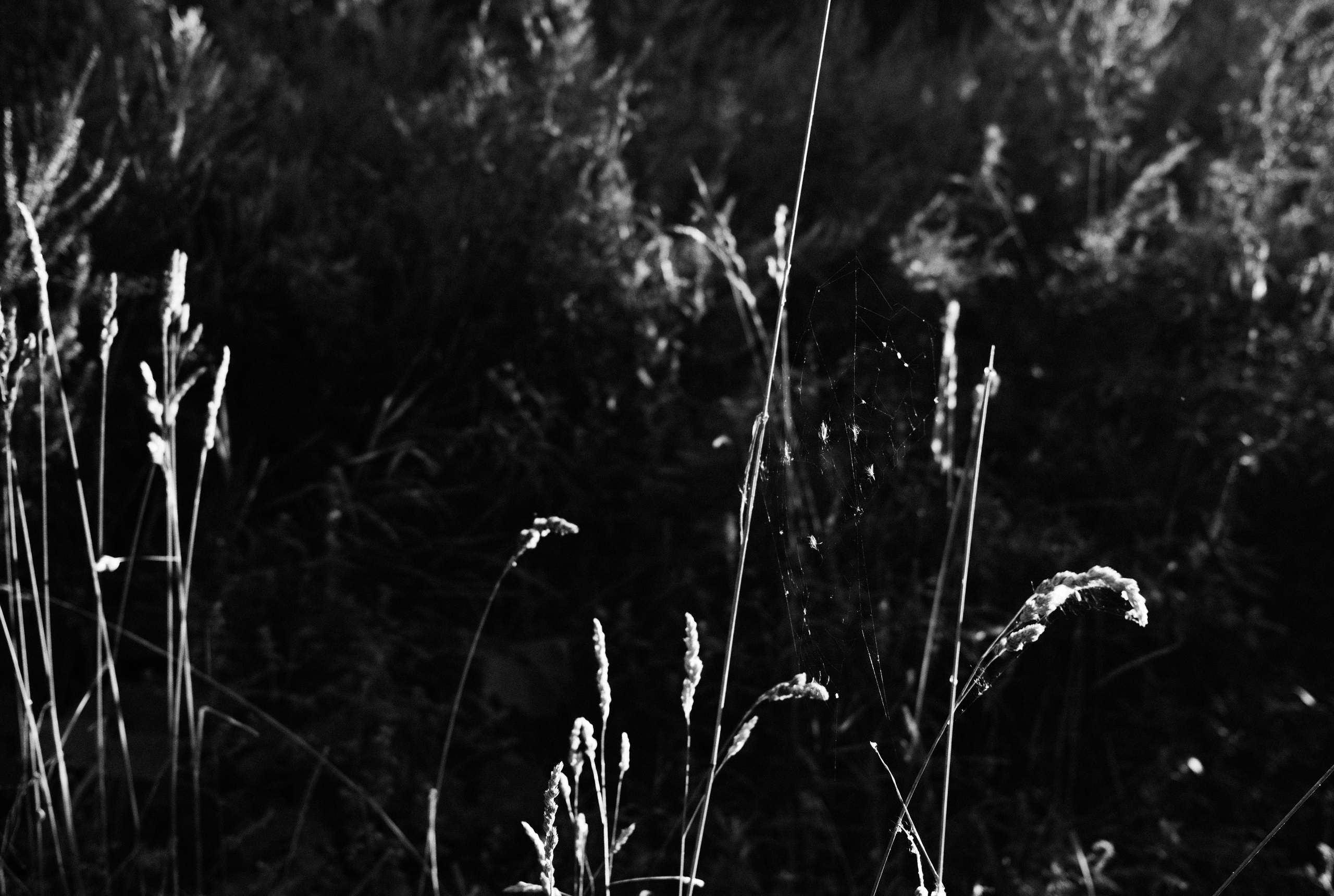 Фотограф Владимир Кононенко