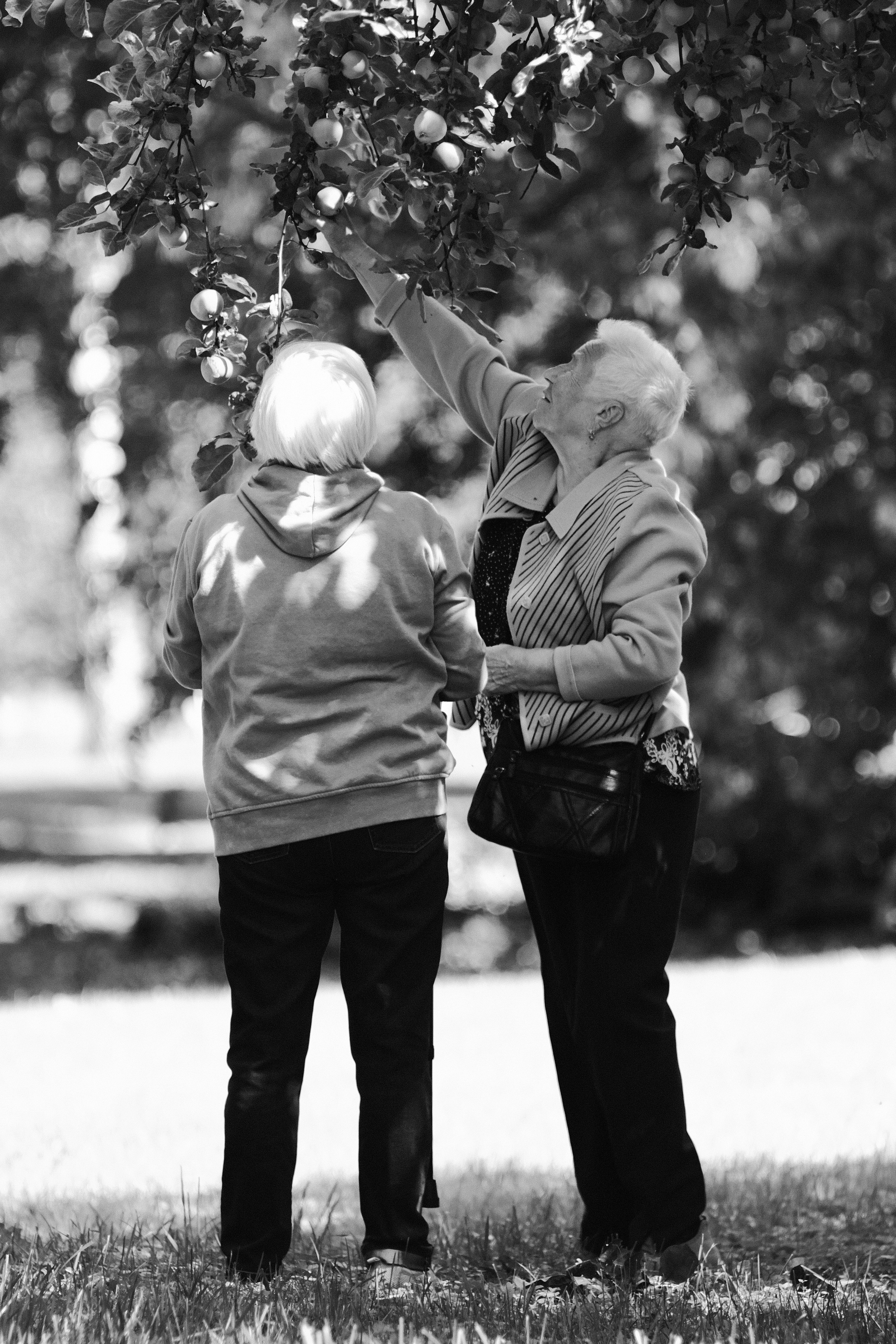 Фотограф Владимир Кононенко