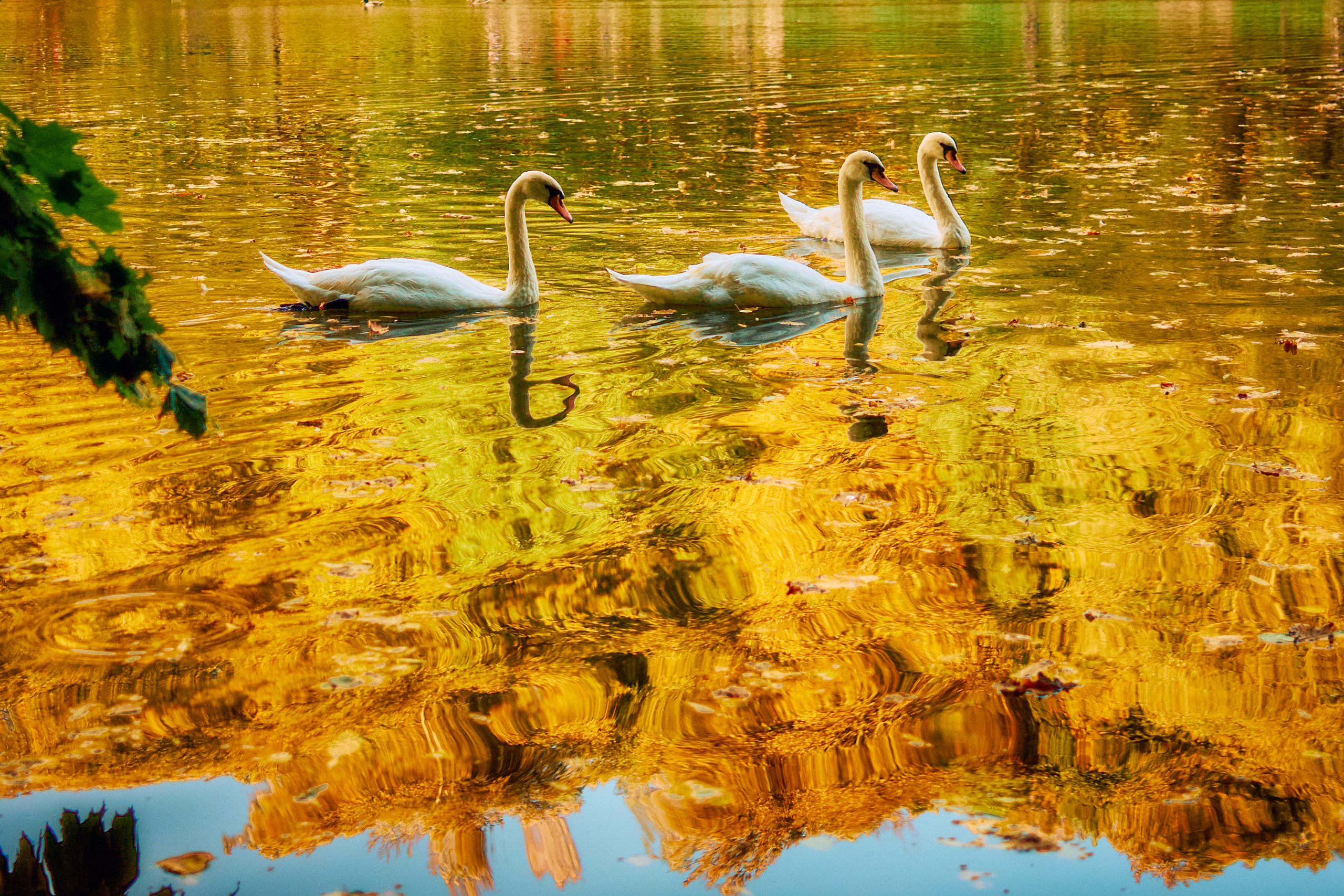 Фотограф Владимир Кононенко