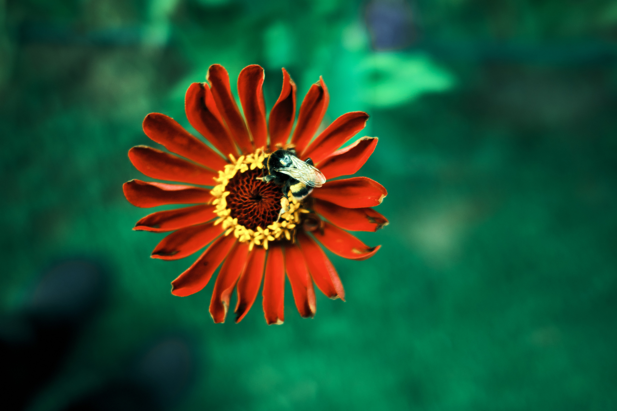 Фотограф Владимир Кононенко