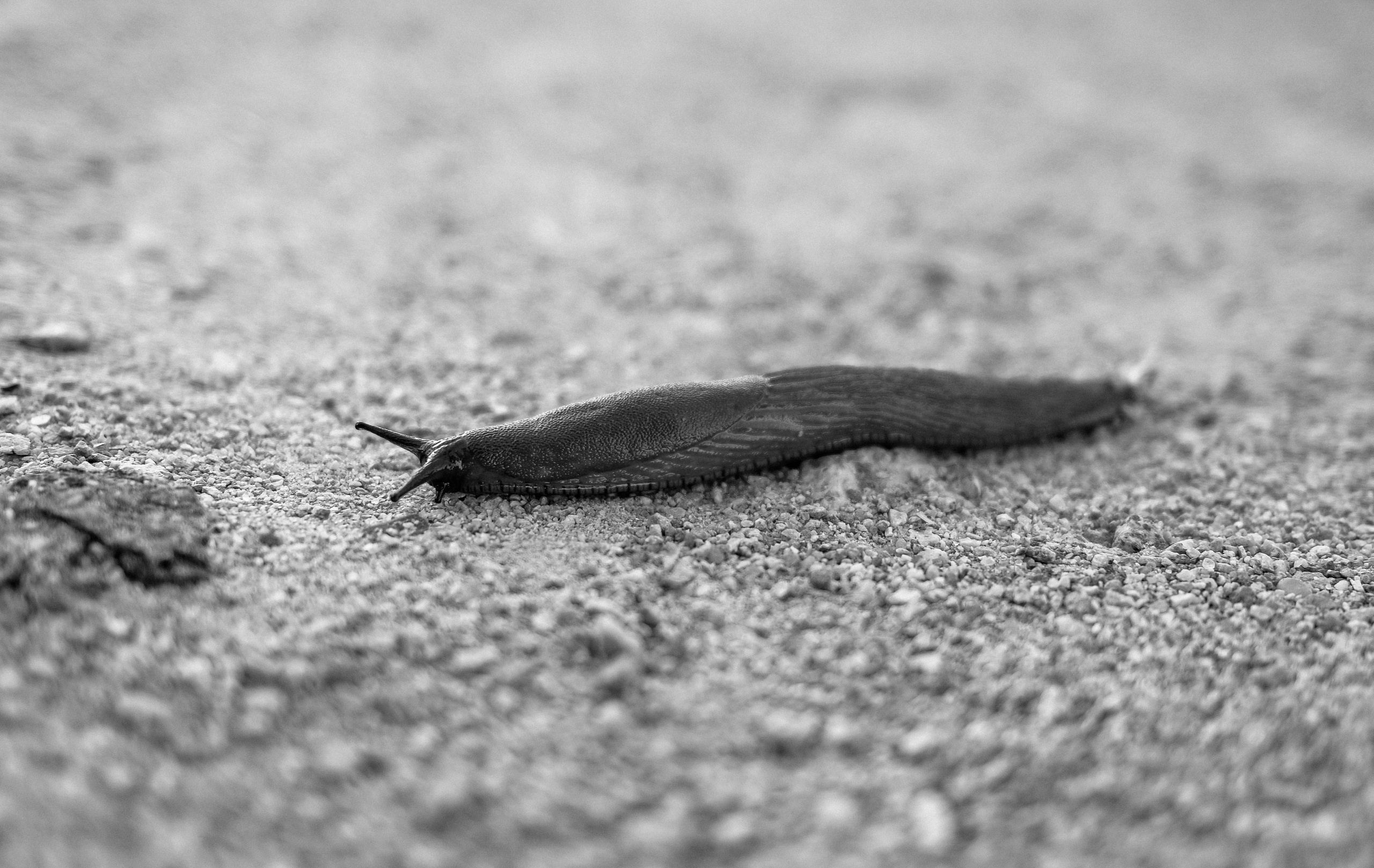 Фотограф Владимир Кононенко