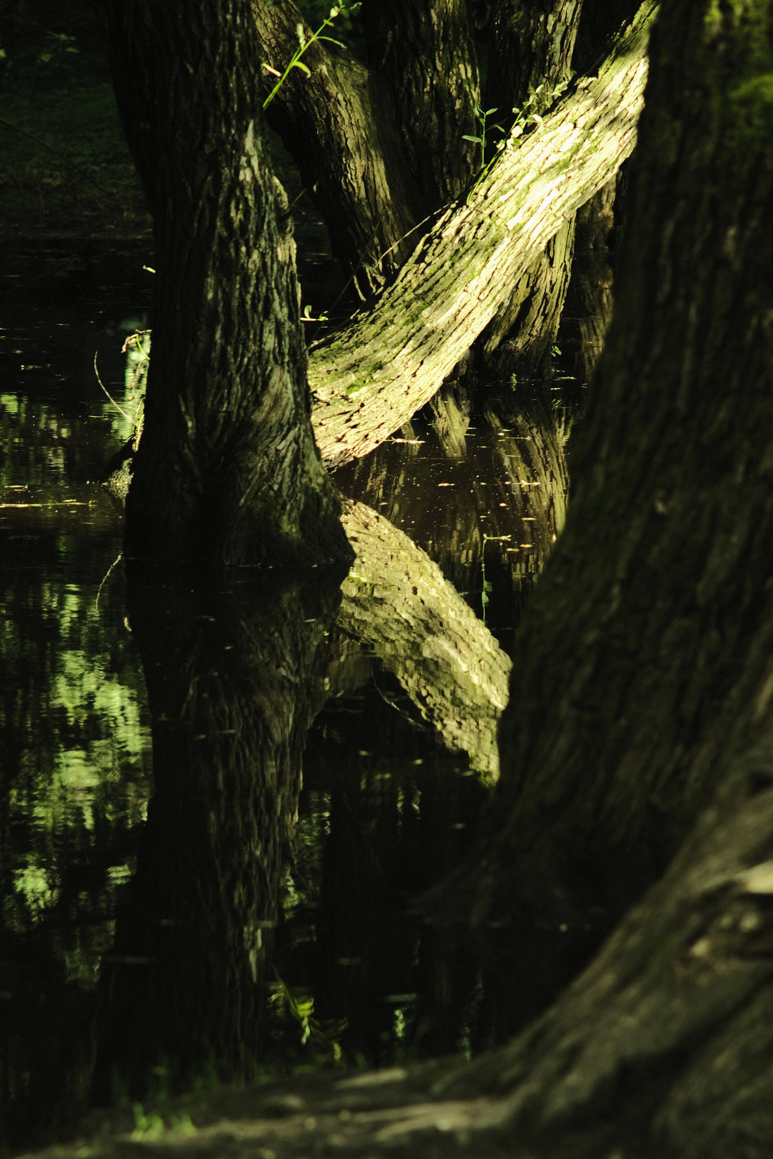 Фотограф Владимир Кононенко