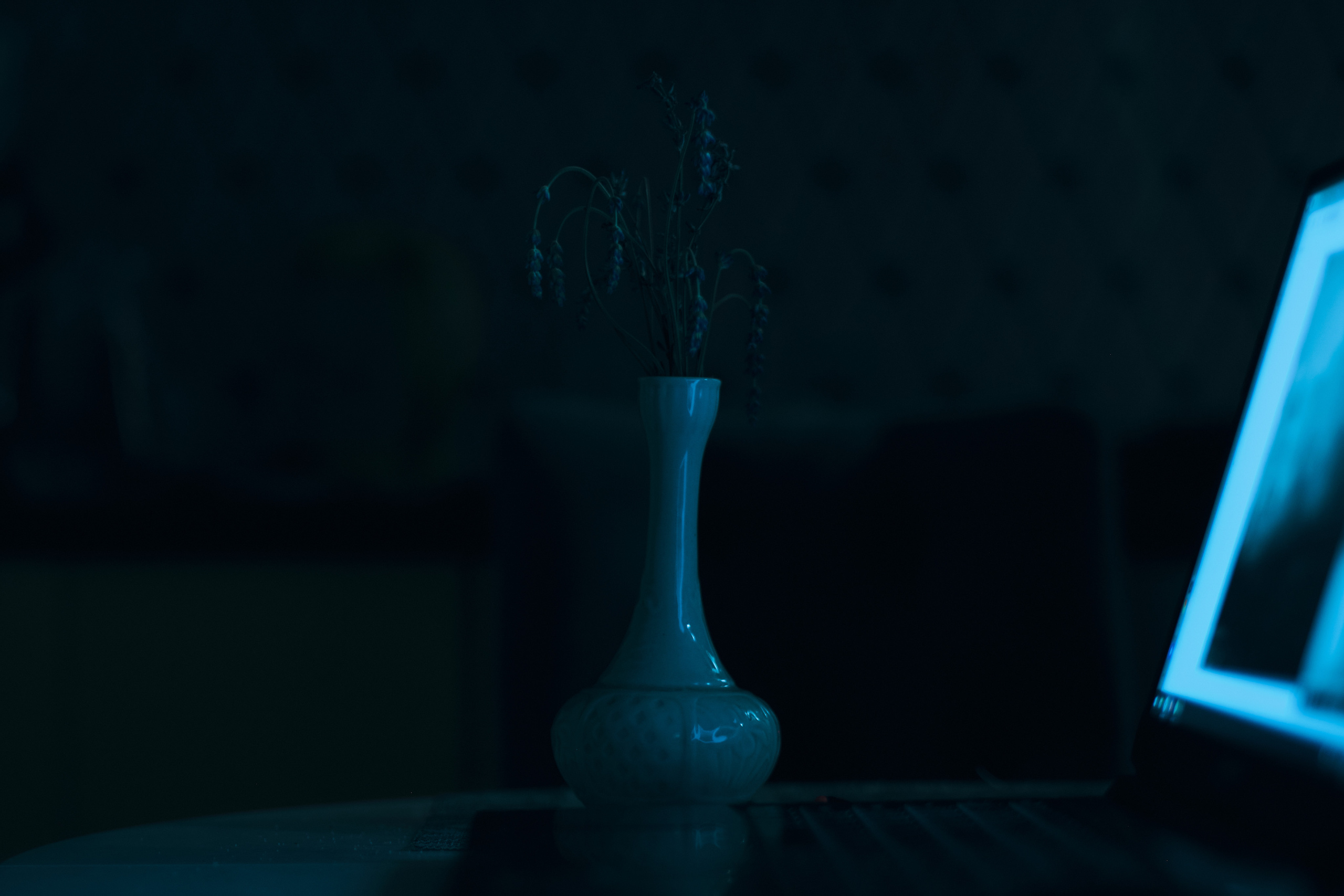 Фотограф Владимир Кононенко