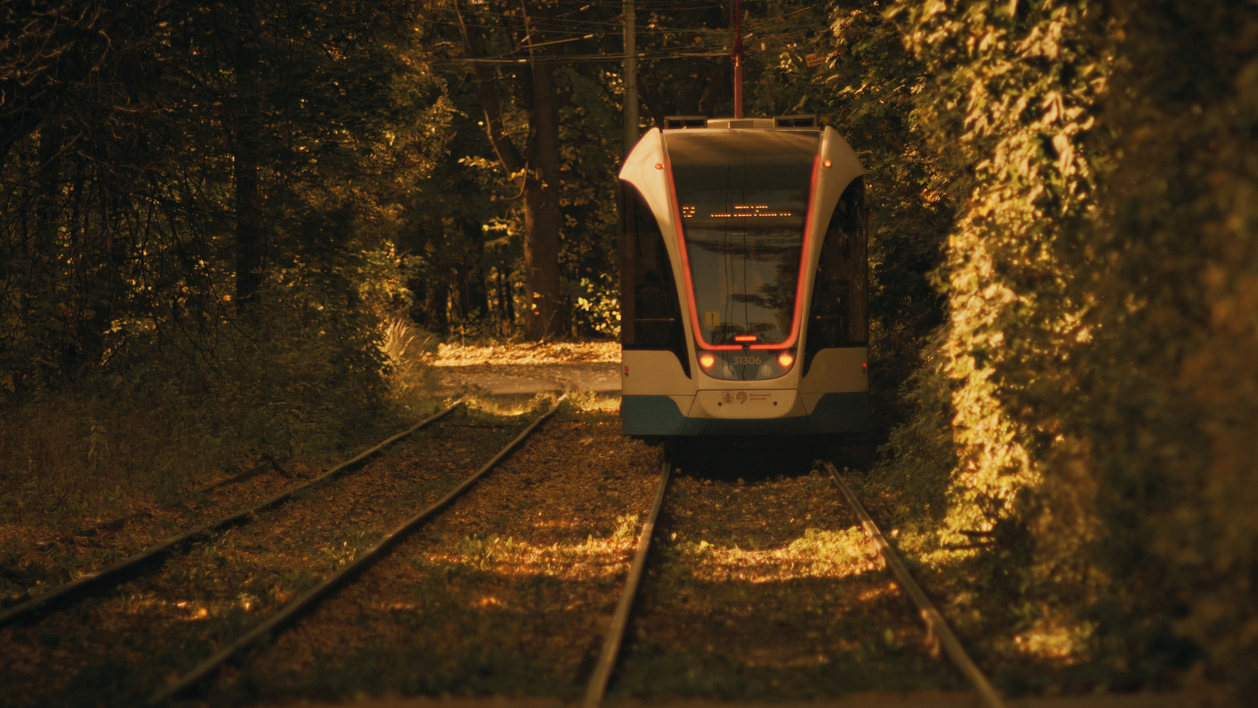 Фотограф Владимир Кононенко