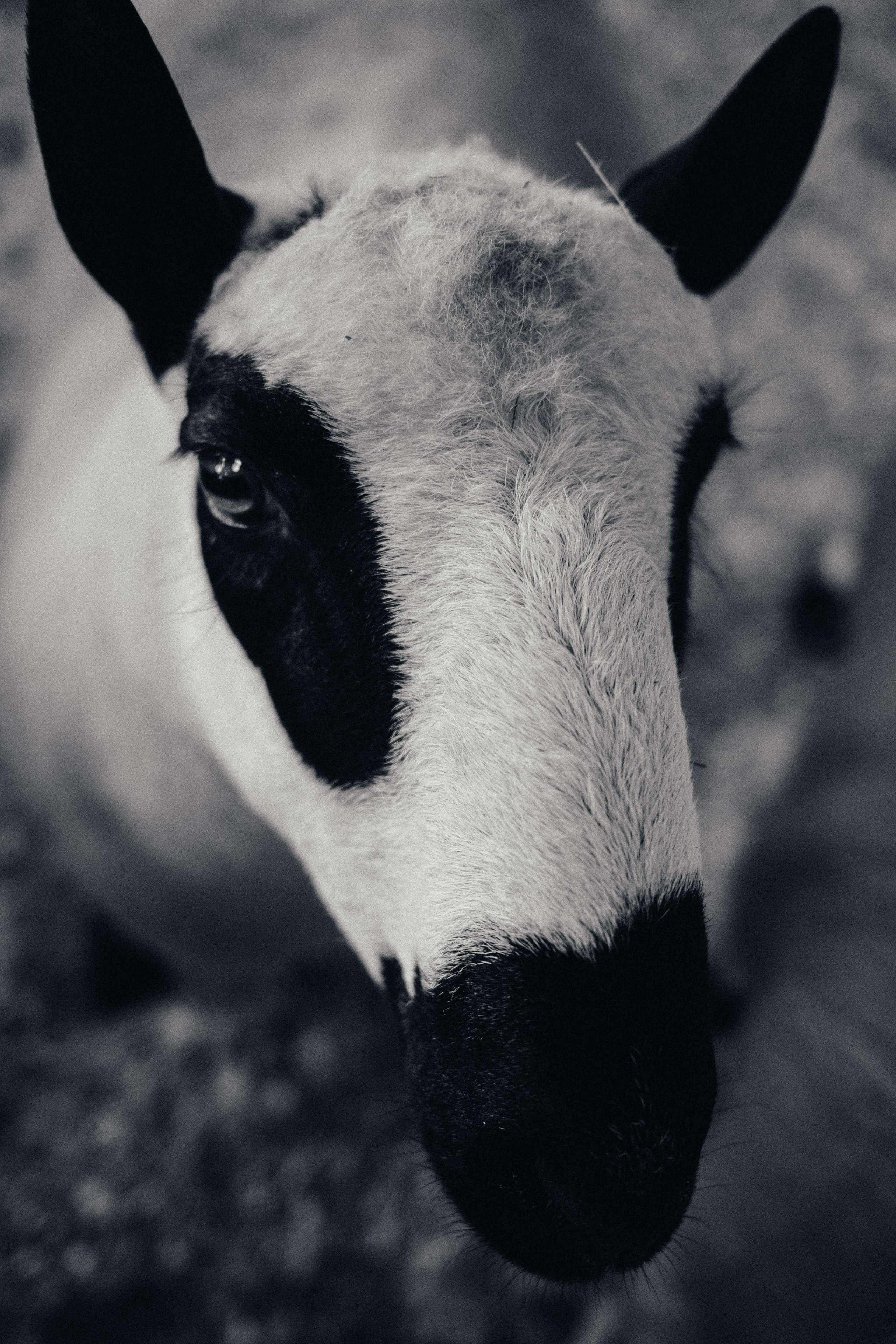 Фотограф Владимир Кононенко