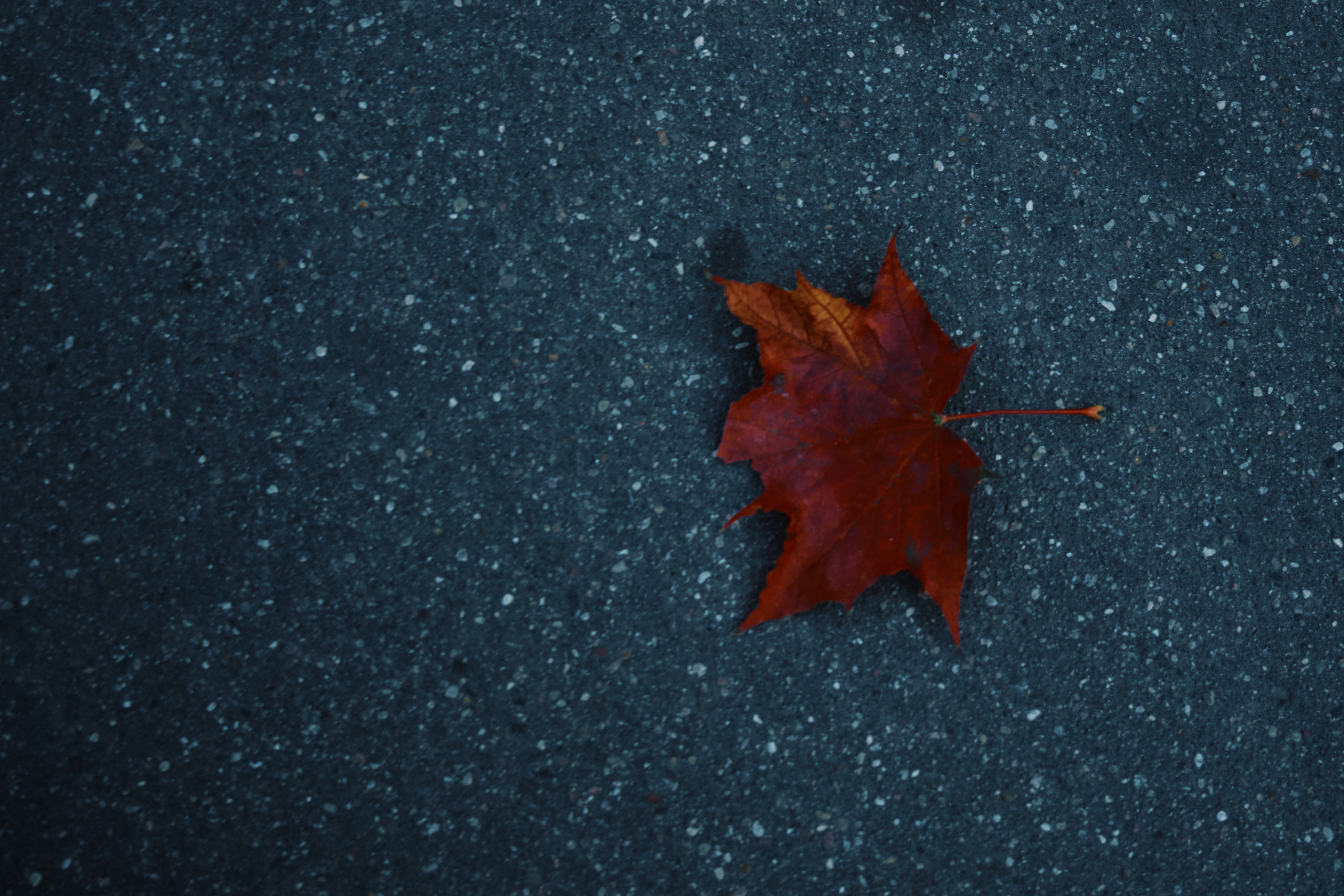 Фотограф Владимир Кононенко