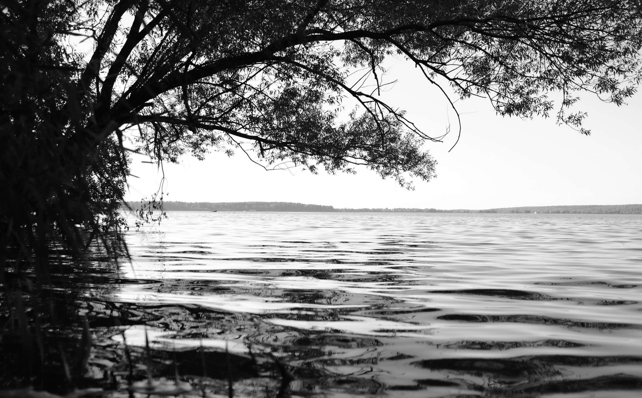 Фотограф Владимир Кононенко