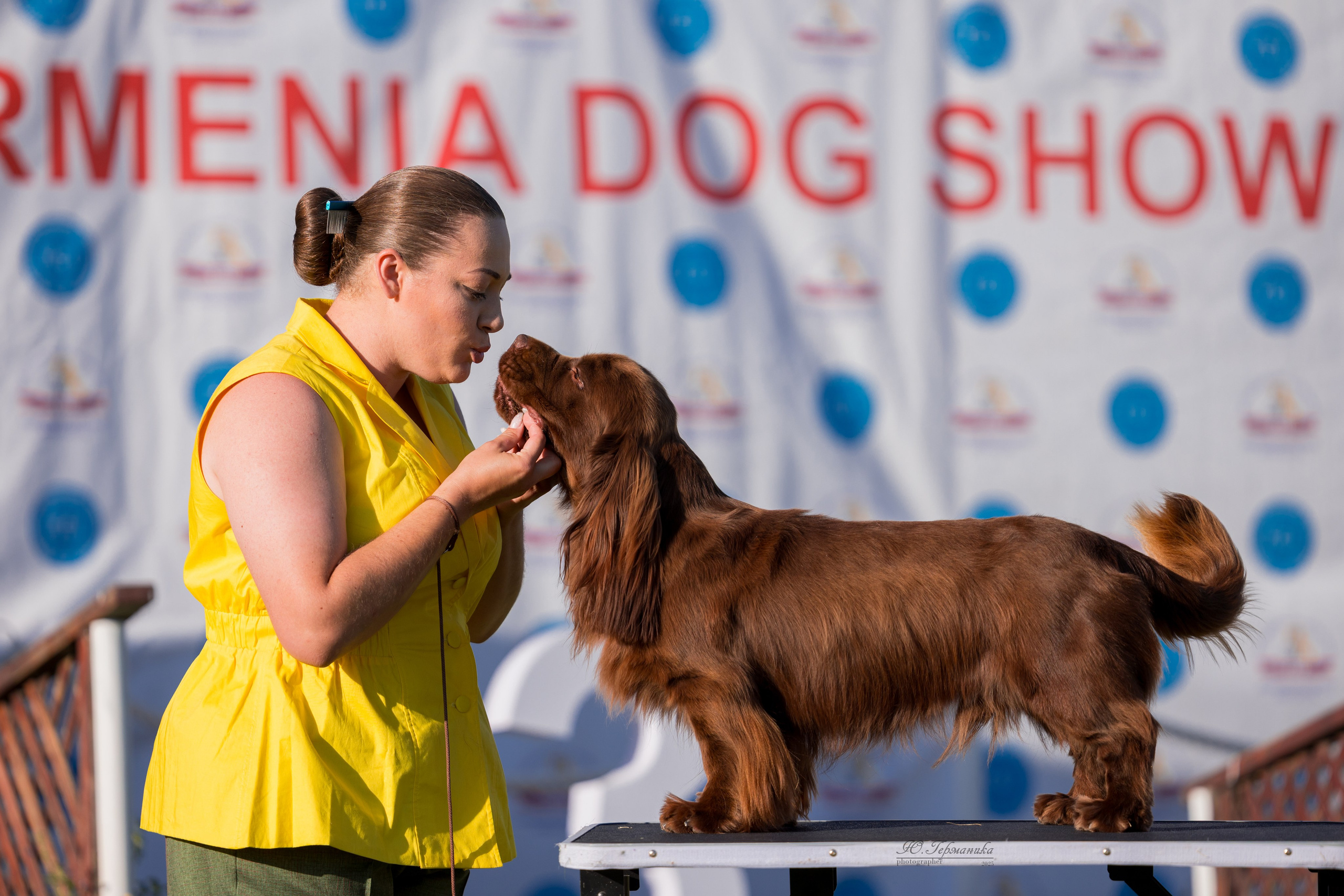 Ереван 3хCACIB 23-25.06.2025. Фотограф-анималист Юлия Германика