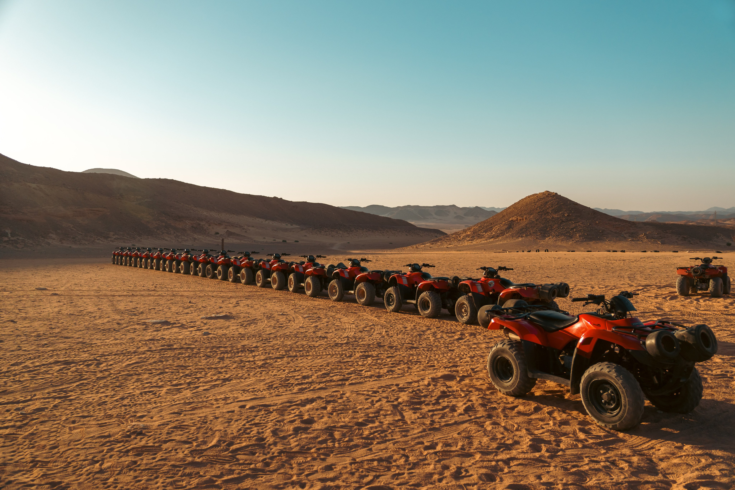 Природа. Фотограф в Санкт-Петербурге Ибрагимова Алина