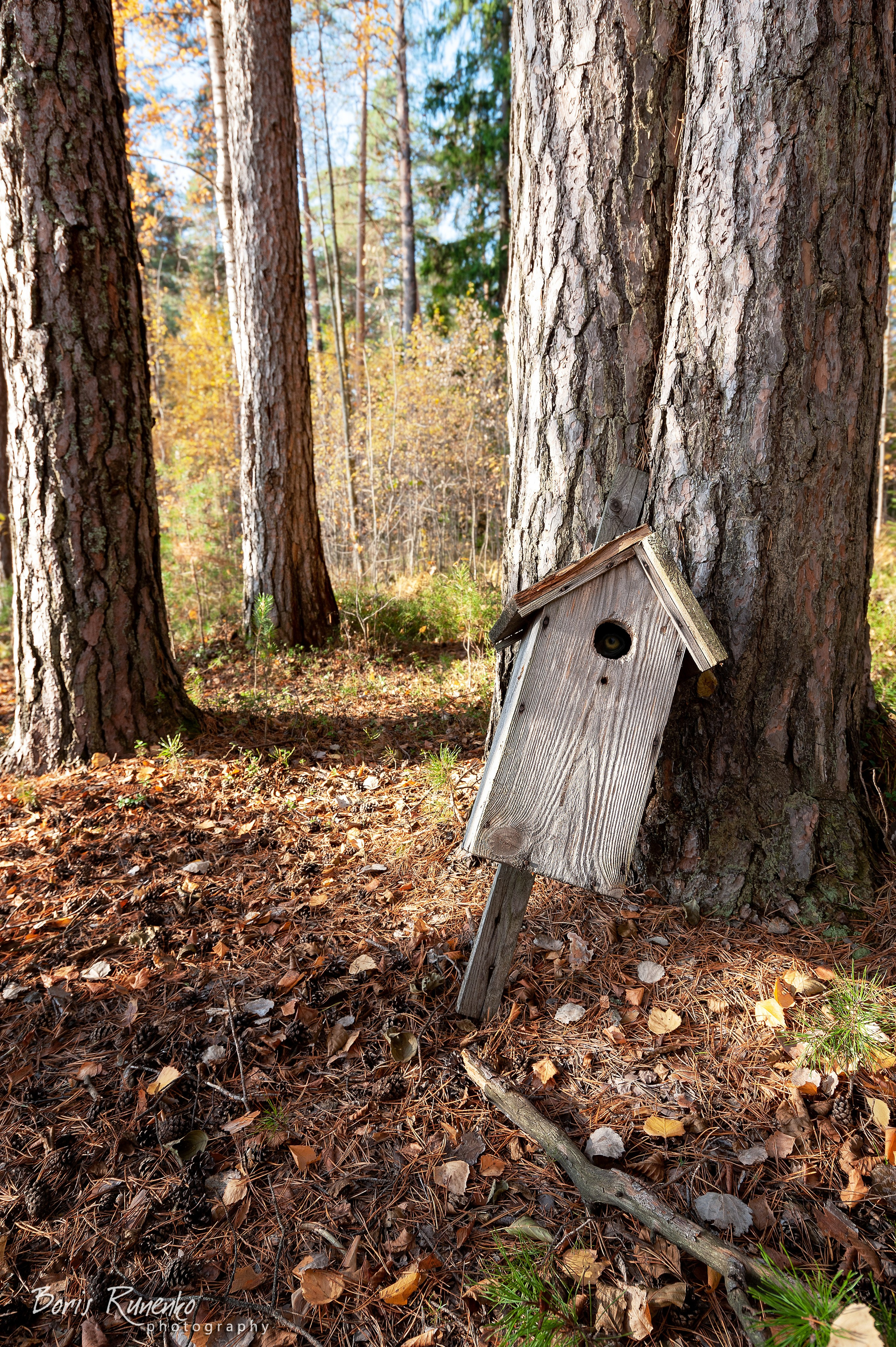 Озеро Белое. Московская область. Борис Руненко. Пейзажный и travel-фотограф
