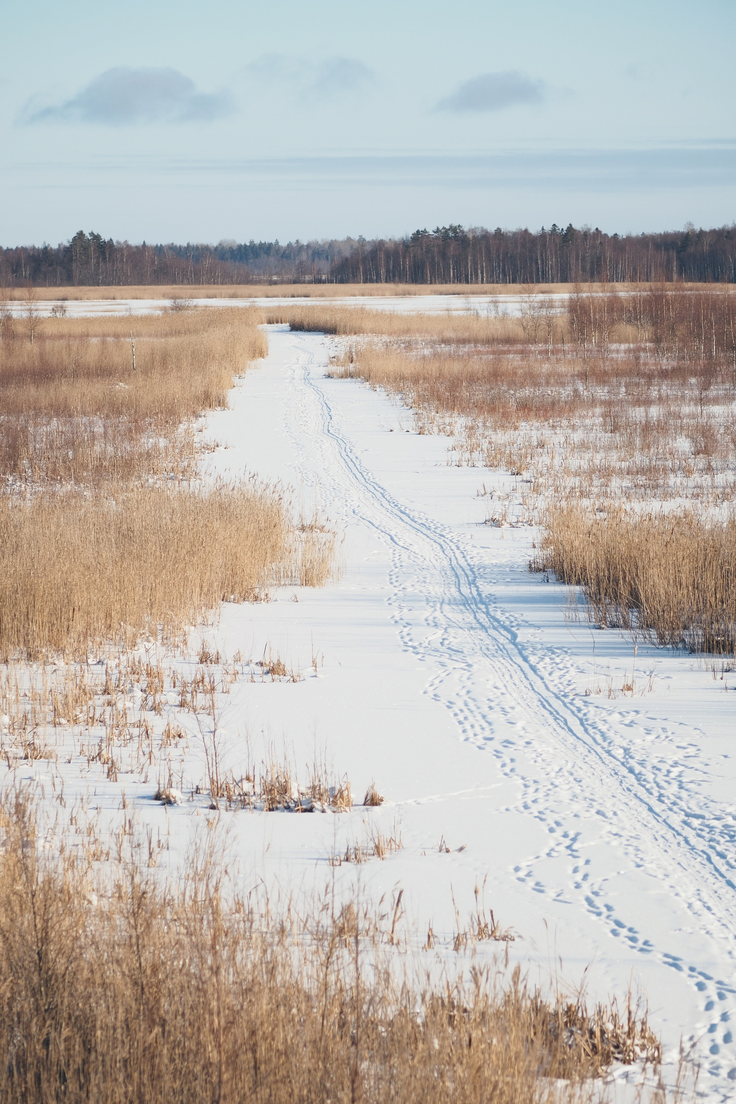 Раковые озера. Свадебный фотограф Копков Геннадий