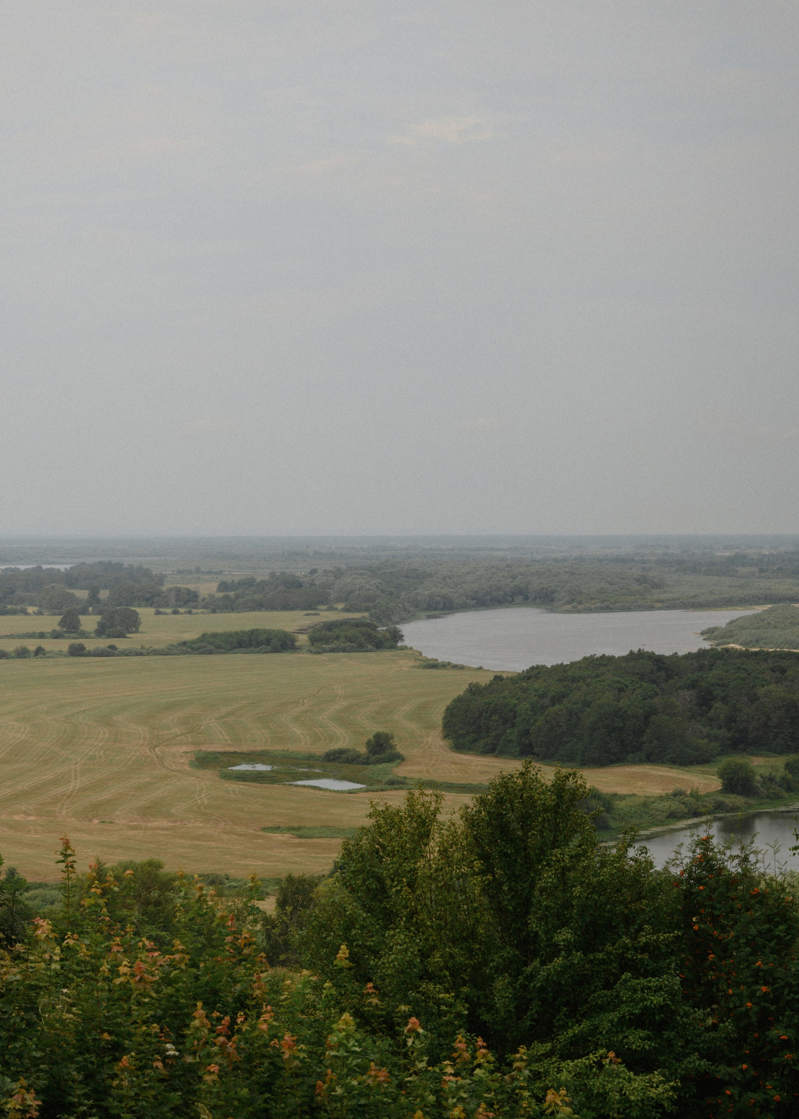 La famille est mon trésor. Свадебный фотограф Нижний Новгород, Москва