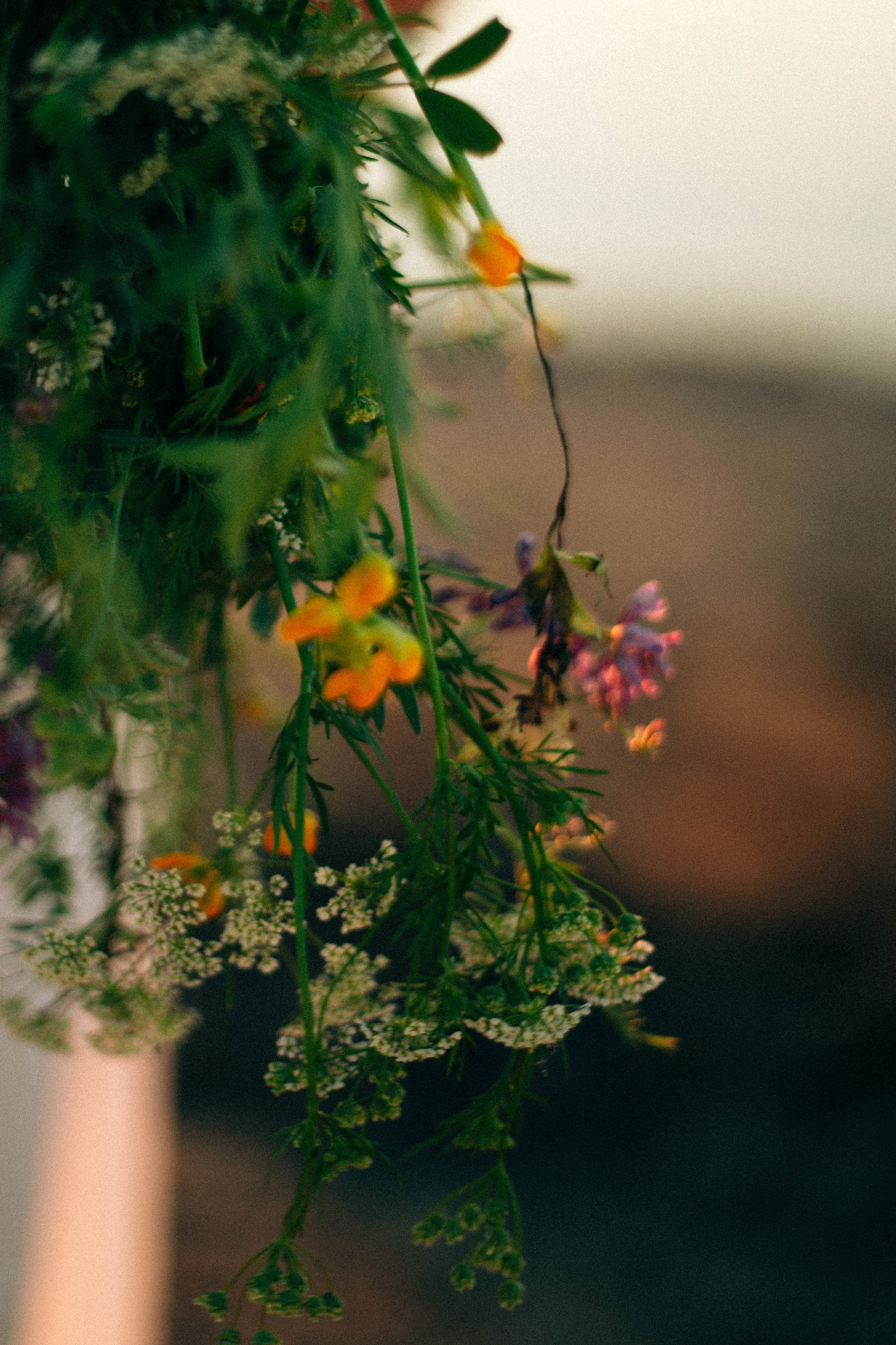 Ивана Купала на закате. Арт-фотограф Крис Л. в Тобольске: портрет, семейные, свадьбы