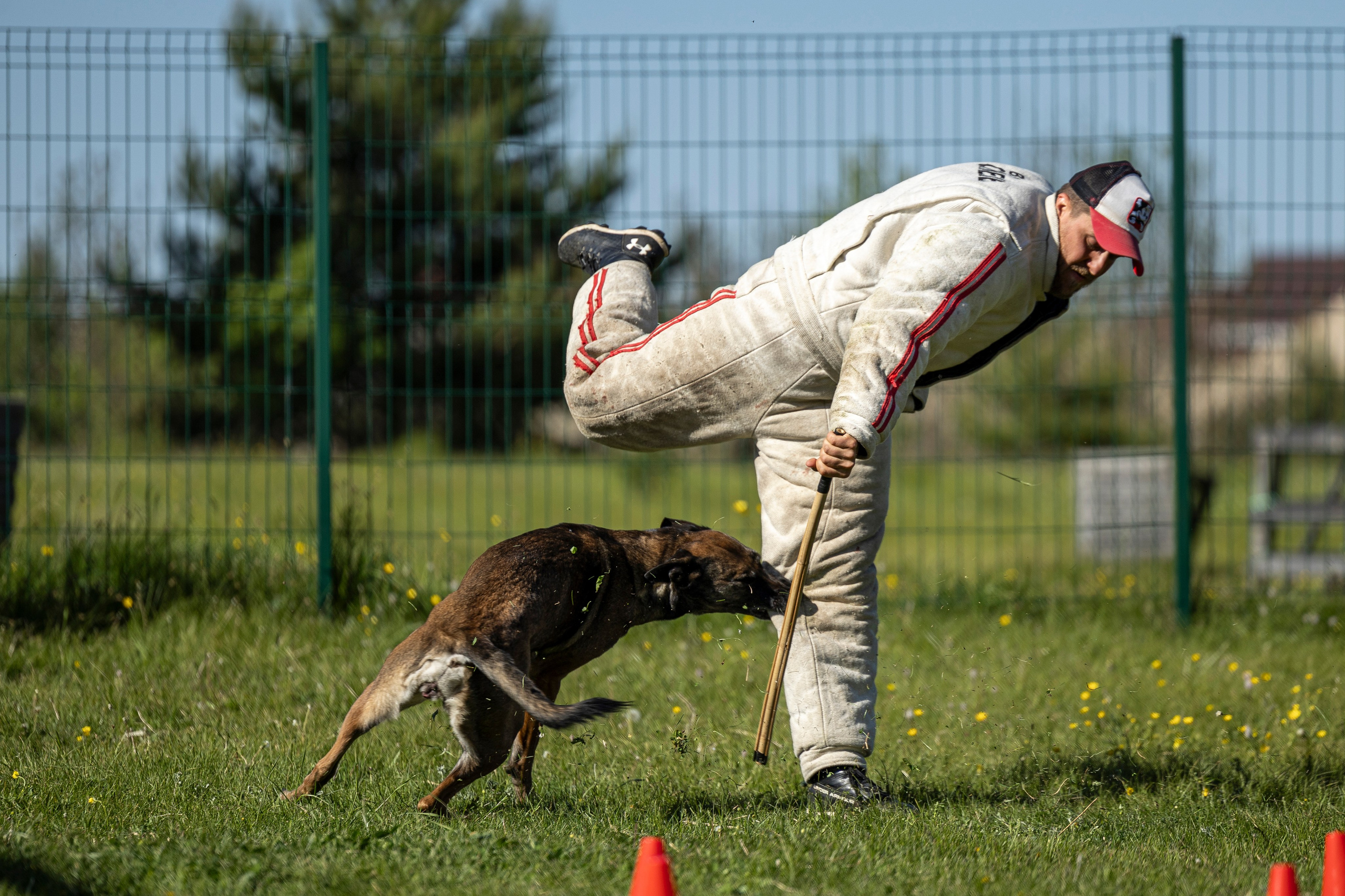 Испытания по мондьорингу в Нижнем Новгороде. Фотограф-анималист Анна Маринич