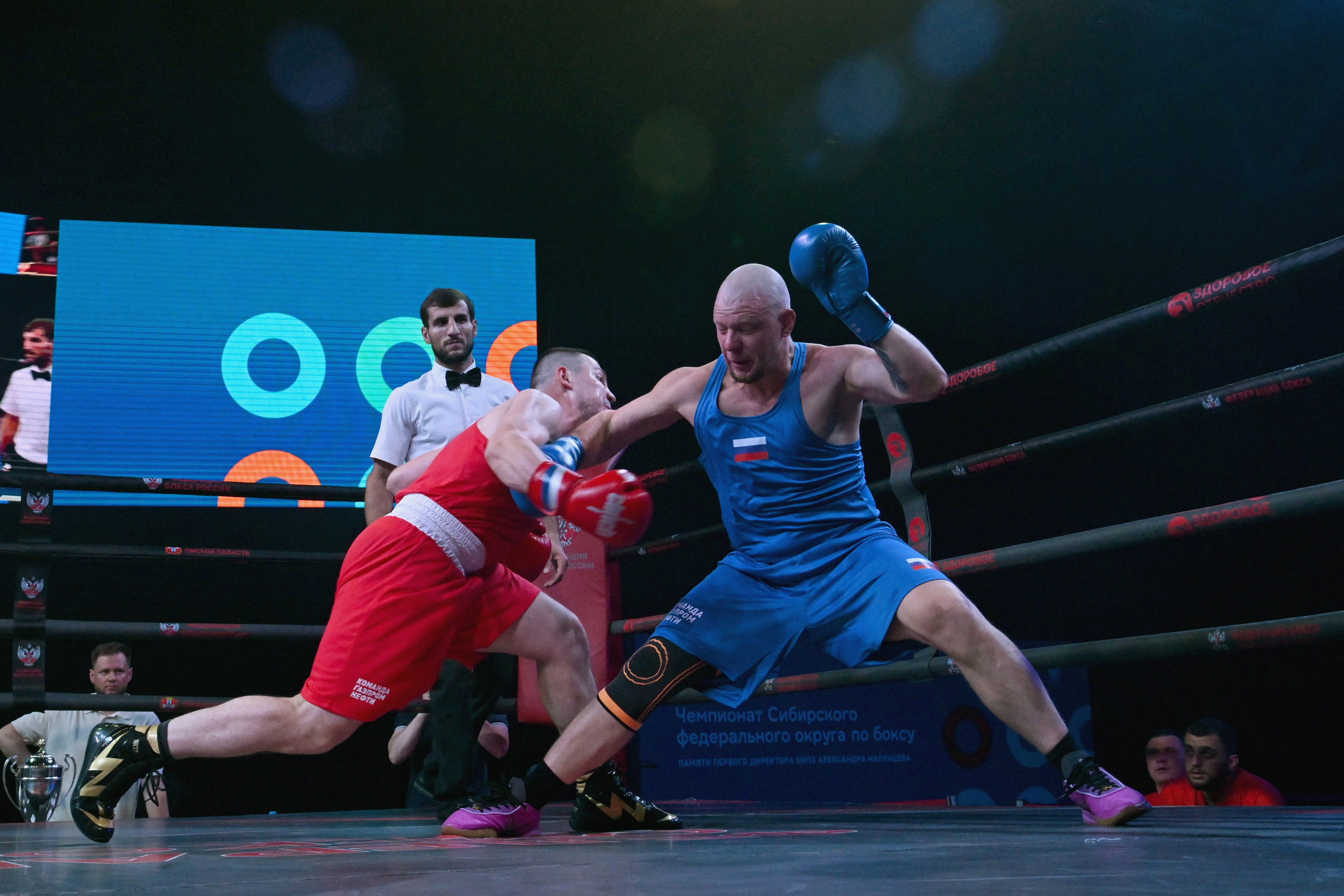 Чемпионат Сибирского федерального округа по боксу 2026. Репортажный фотограф Юля Решетняк