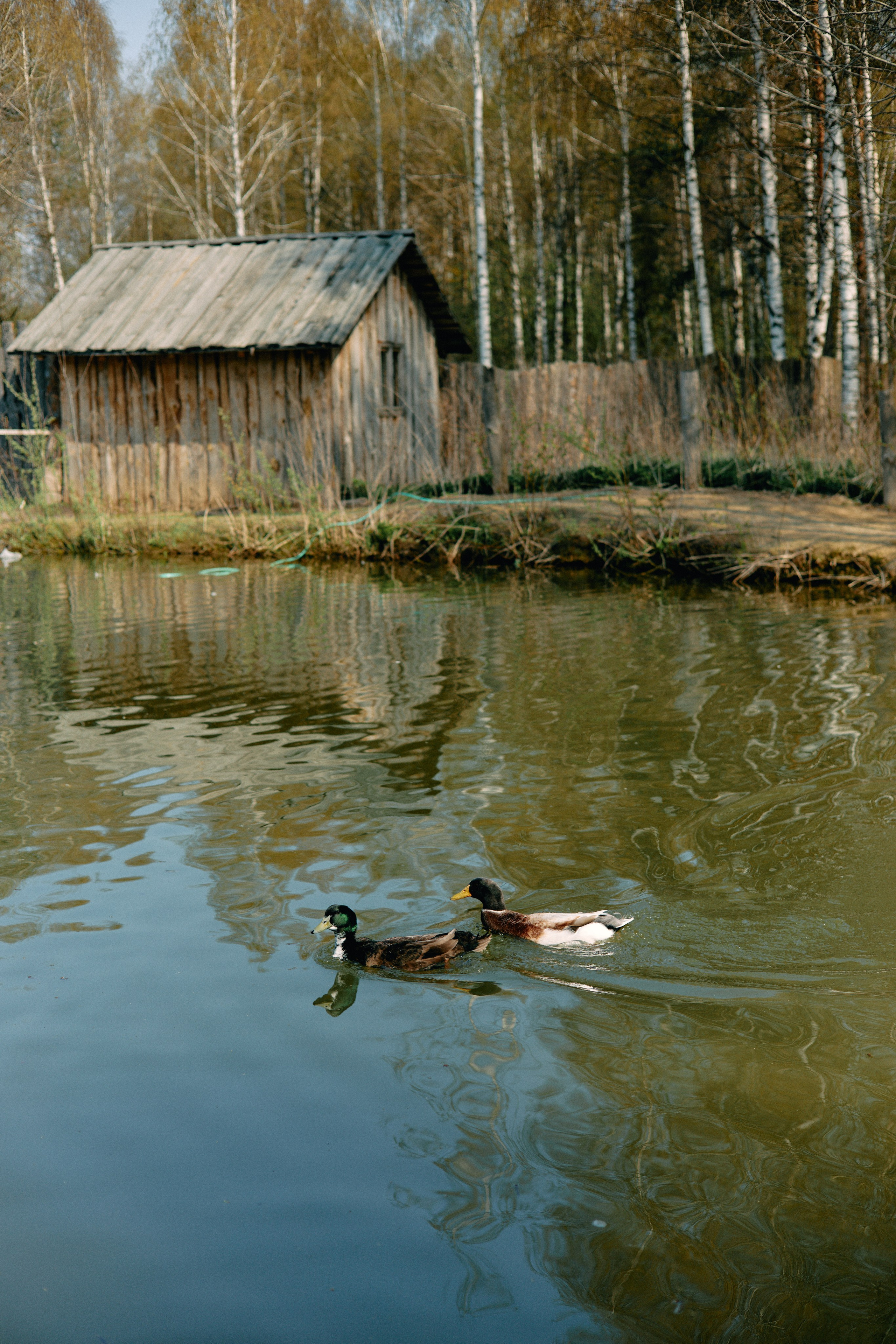 Бутик-отель Поле летом. Профессиональный Фотограф во Владимире, в Москве и в Суздале — Полина Романычева