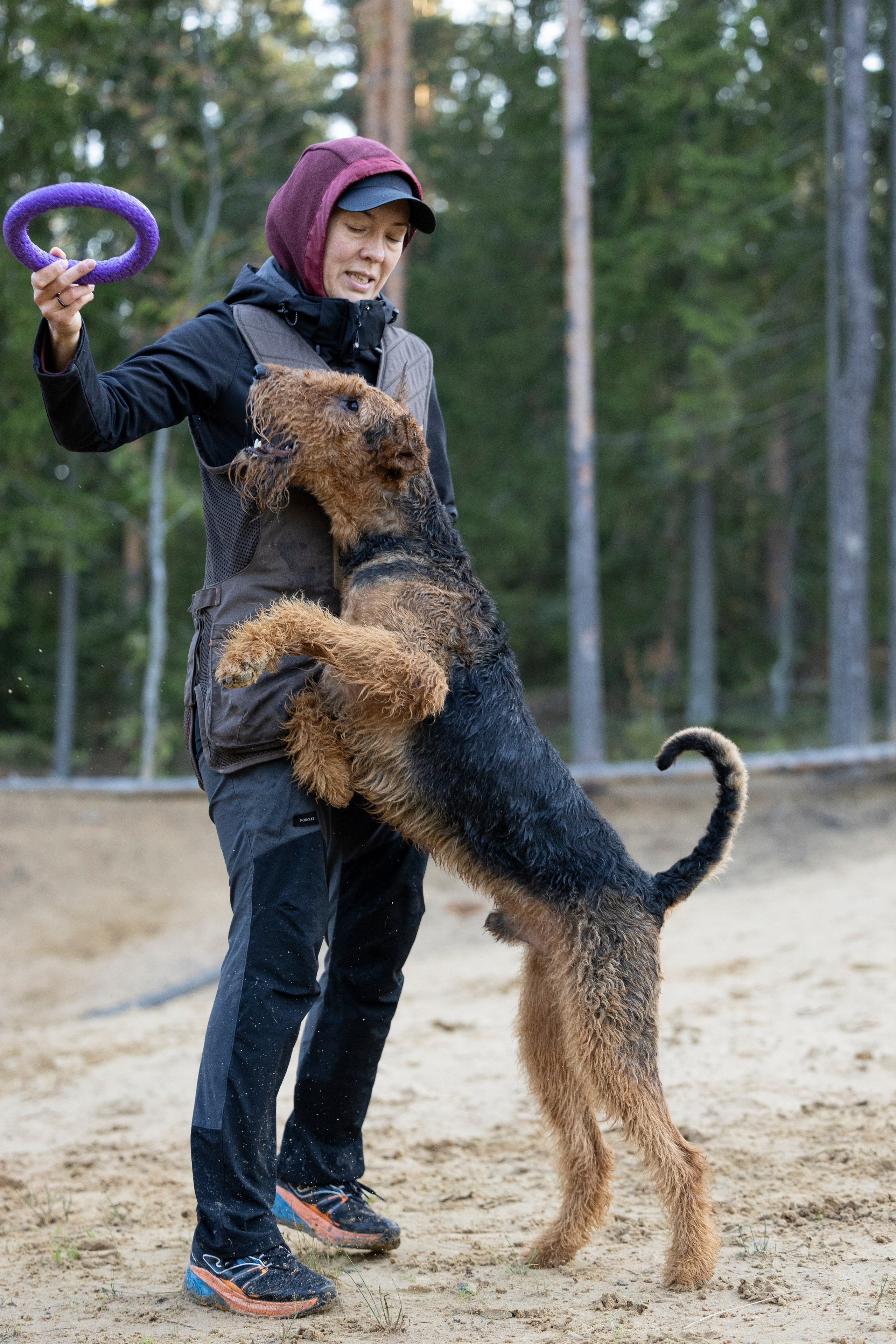 Харди. Фотограф-анималист Анна Маринич