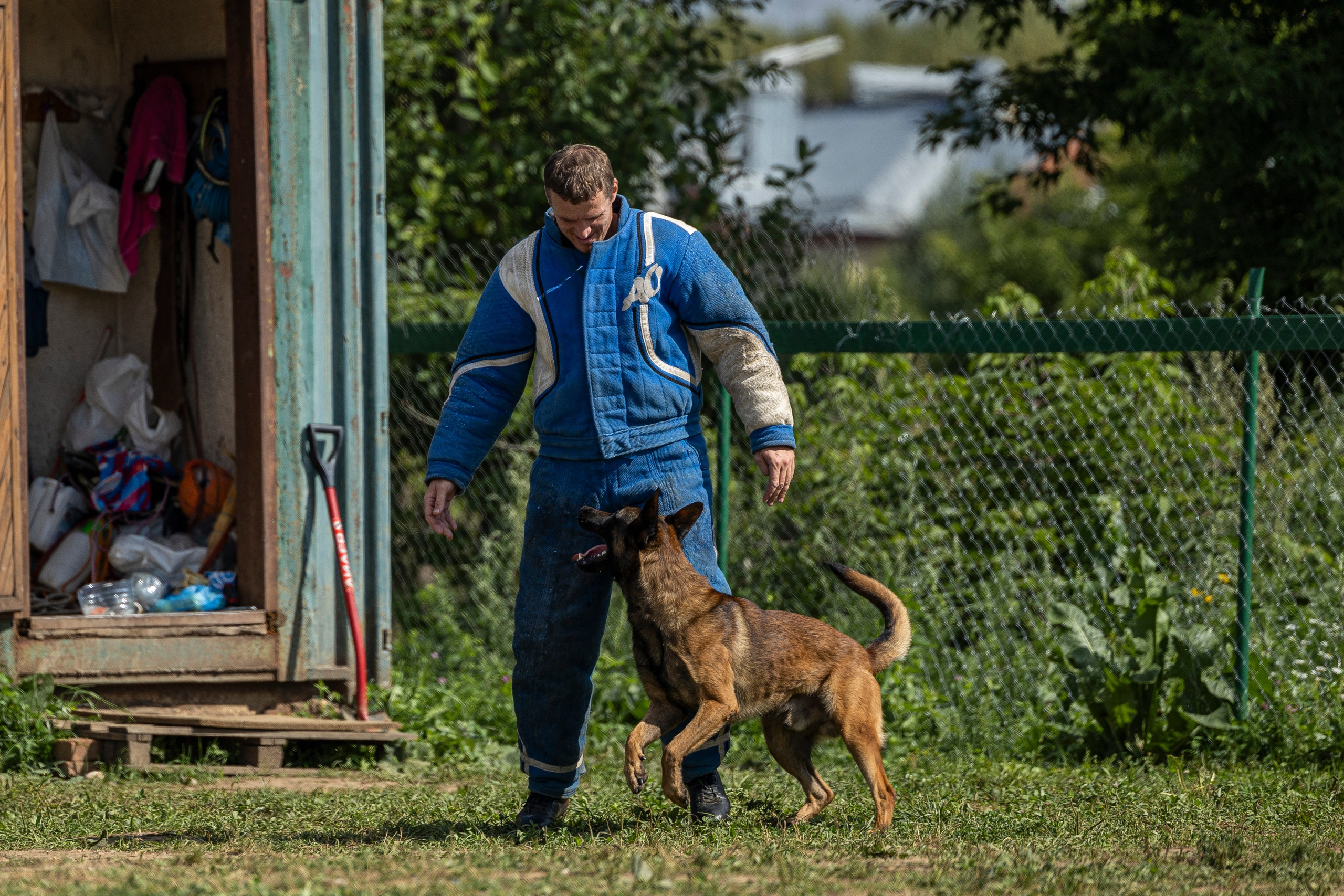 Соревнования по Мондьорингу г. Вологда 10-11.08.2024. Фотограф-анималист Анна Маринич