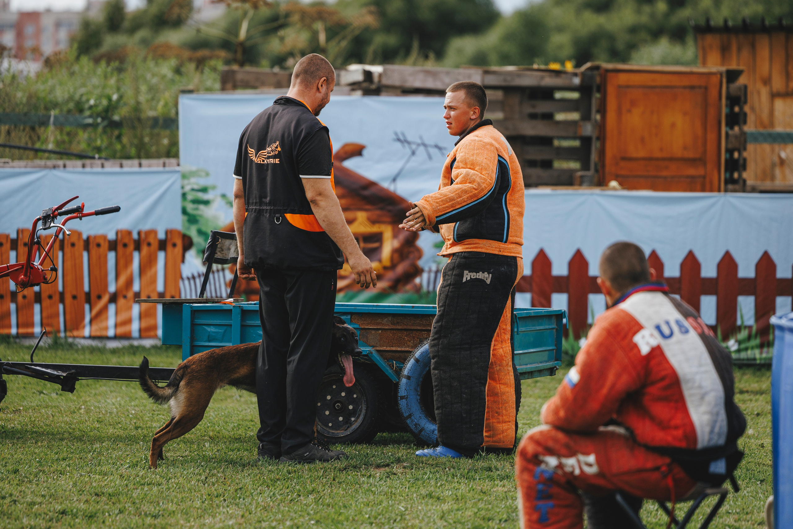 08.08.25-10.08.25 ЧР по мондьорингу г. Вологда. Фотограф-анималист Анна Маринич