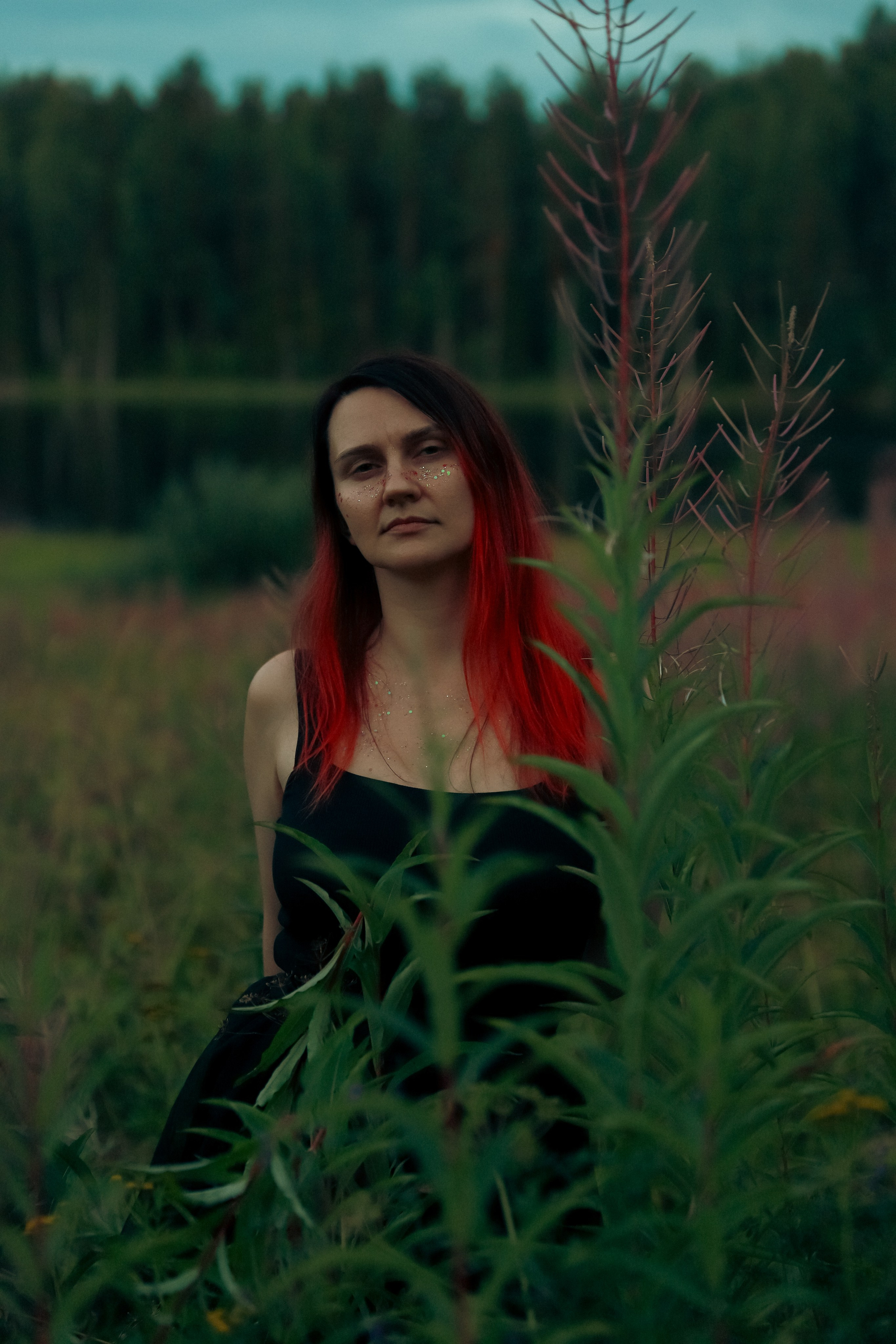 Фестиваль Жива