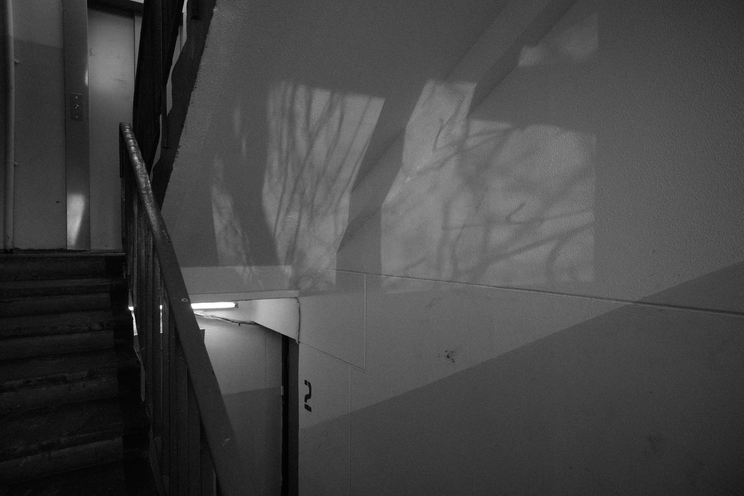 Intemporel. F11 production