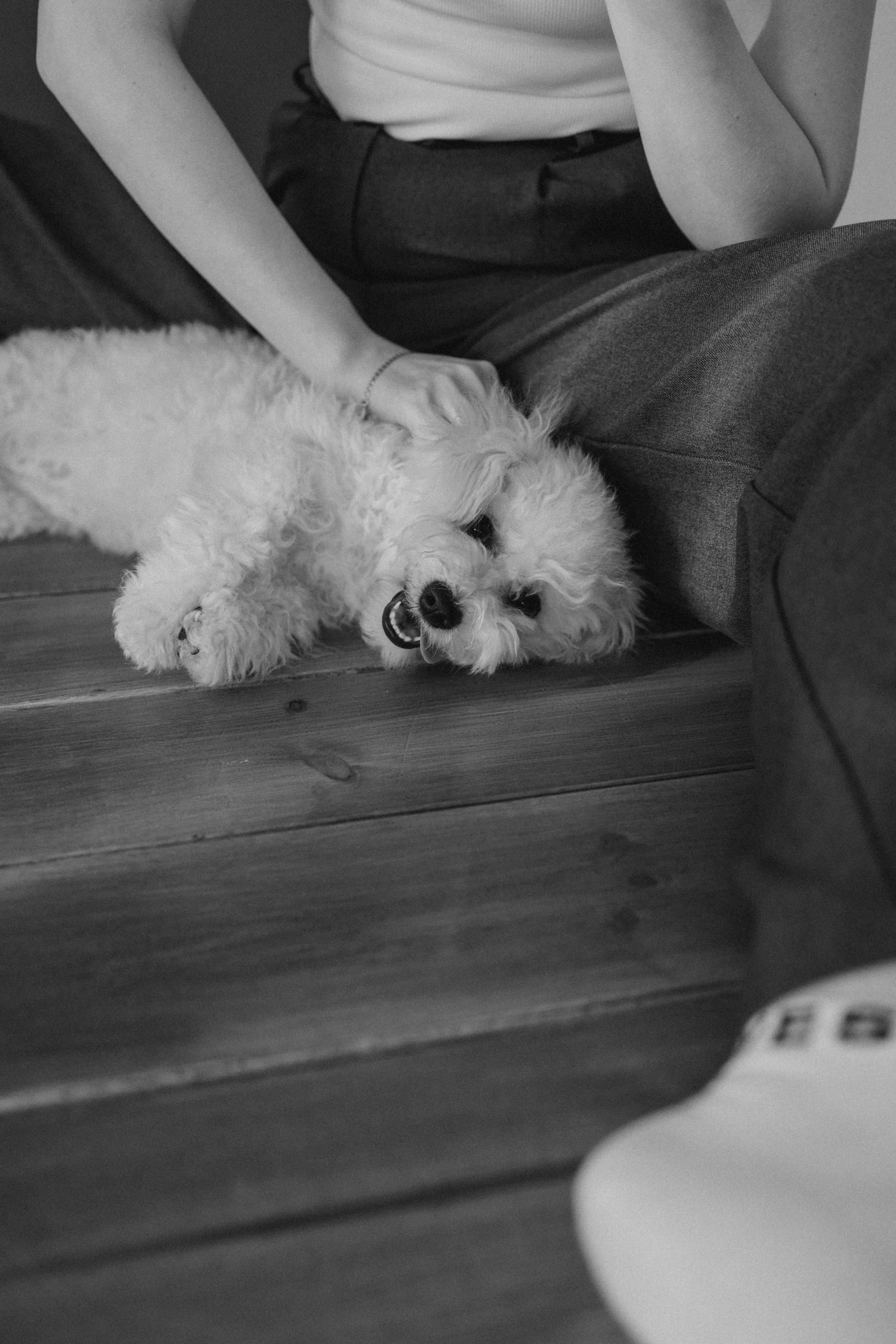 Луна и ее семья. Фотограф — Анималист | Санкт-Петербург