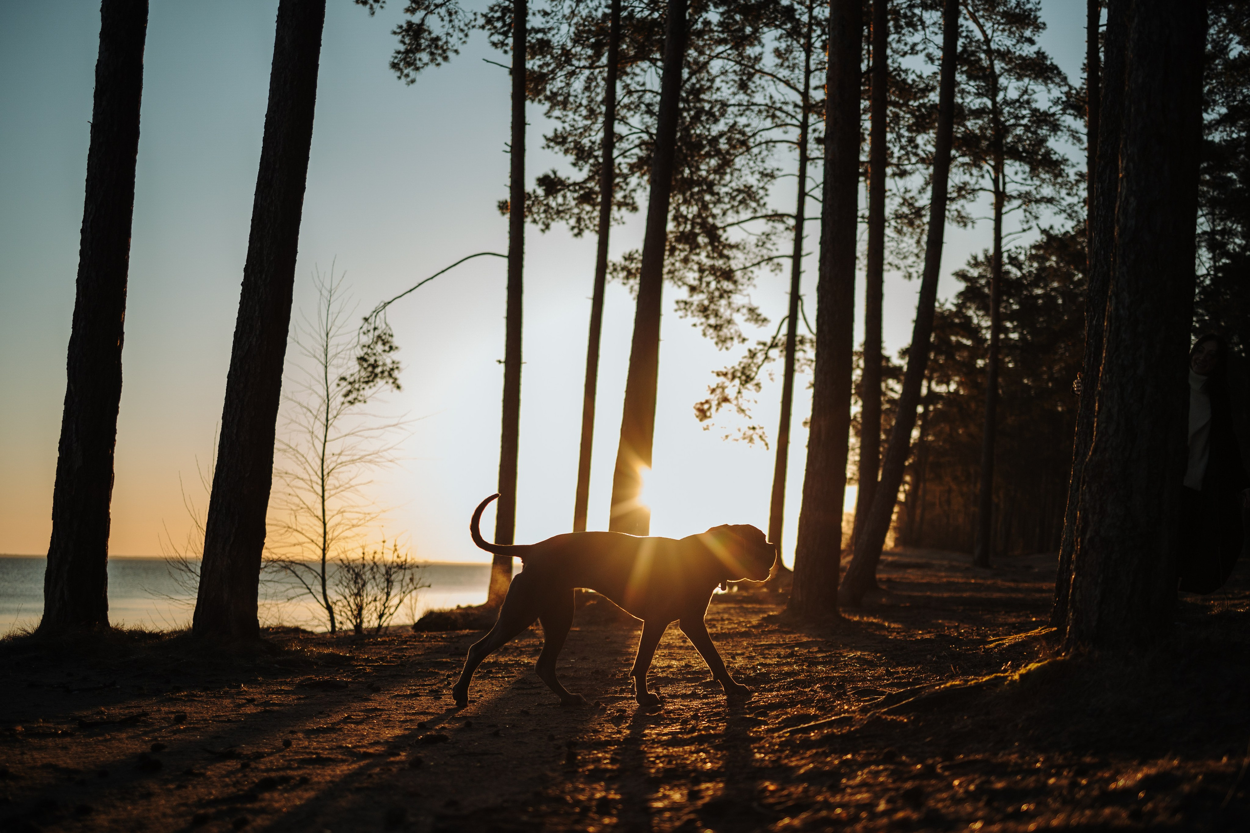 Анна и Лана. Фотограф — Анималист | Санкт-Петербург
