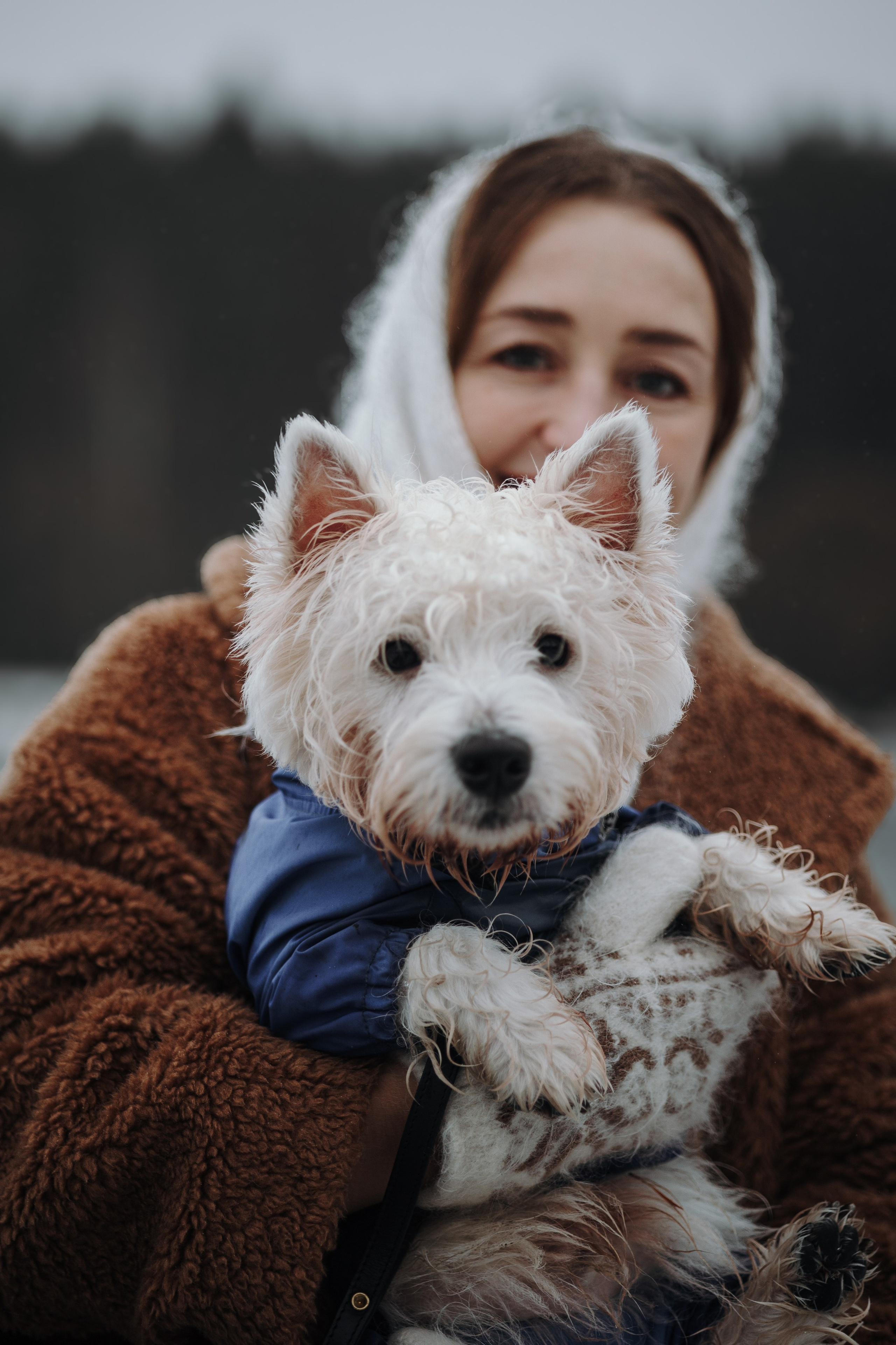 Шелби, Ватсон и ребята. Фотограф — Анималист | Санкт-Петербург