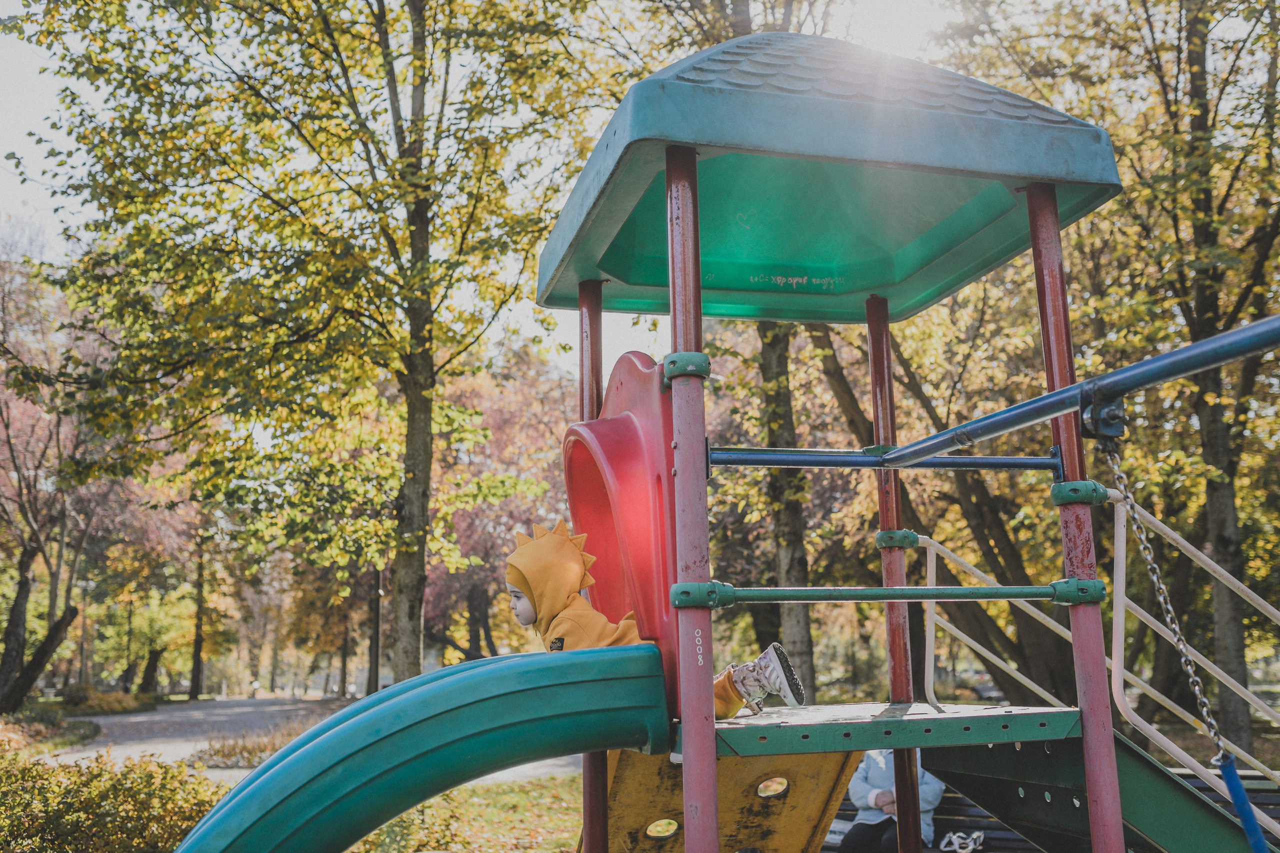 КОГДА ДЕРЕВЬЯ БЫЛИ БОЛЬШИМИ. Фотограф Лебедева Наталья