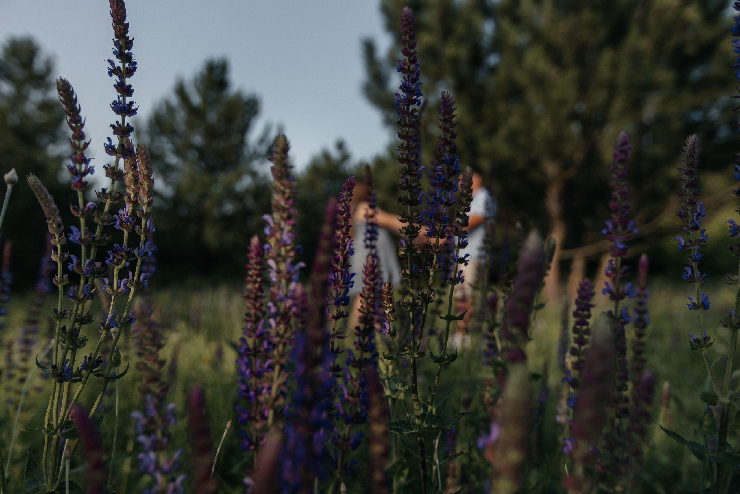 Анна и Дмитрий. Фотограф Таганрог Любимая Надя