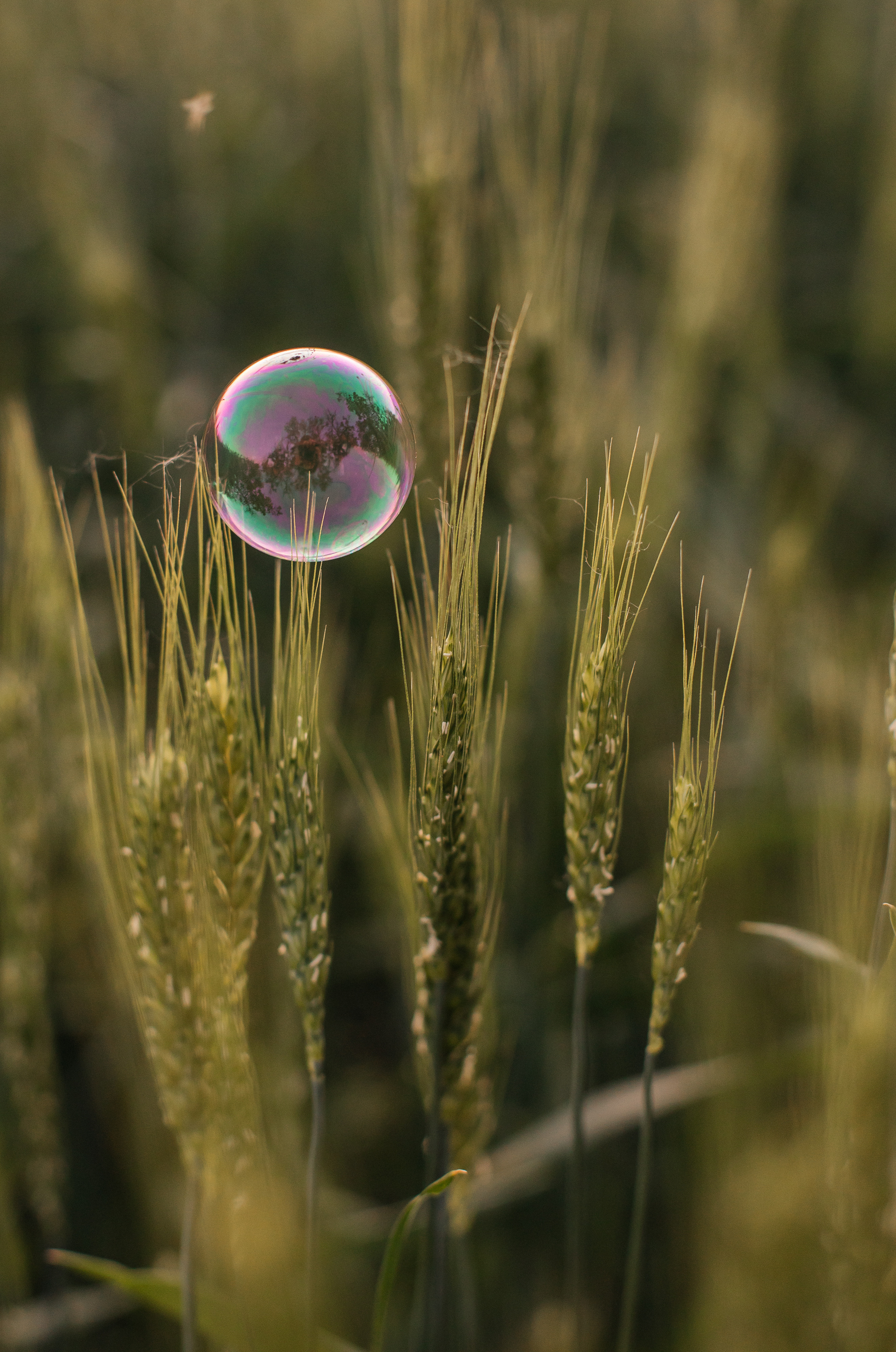 Антонина, Илья и Злата. Фотограф Таганрог Любимая Надя