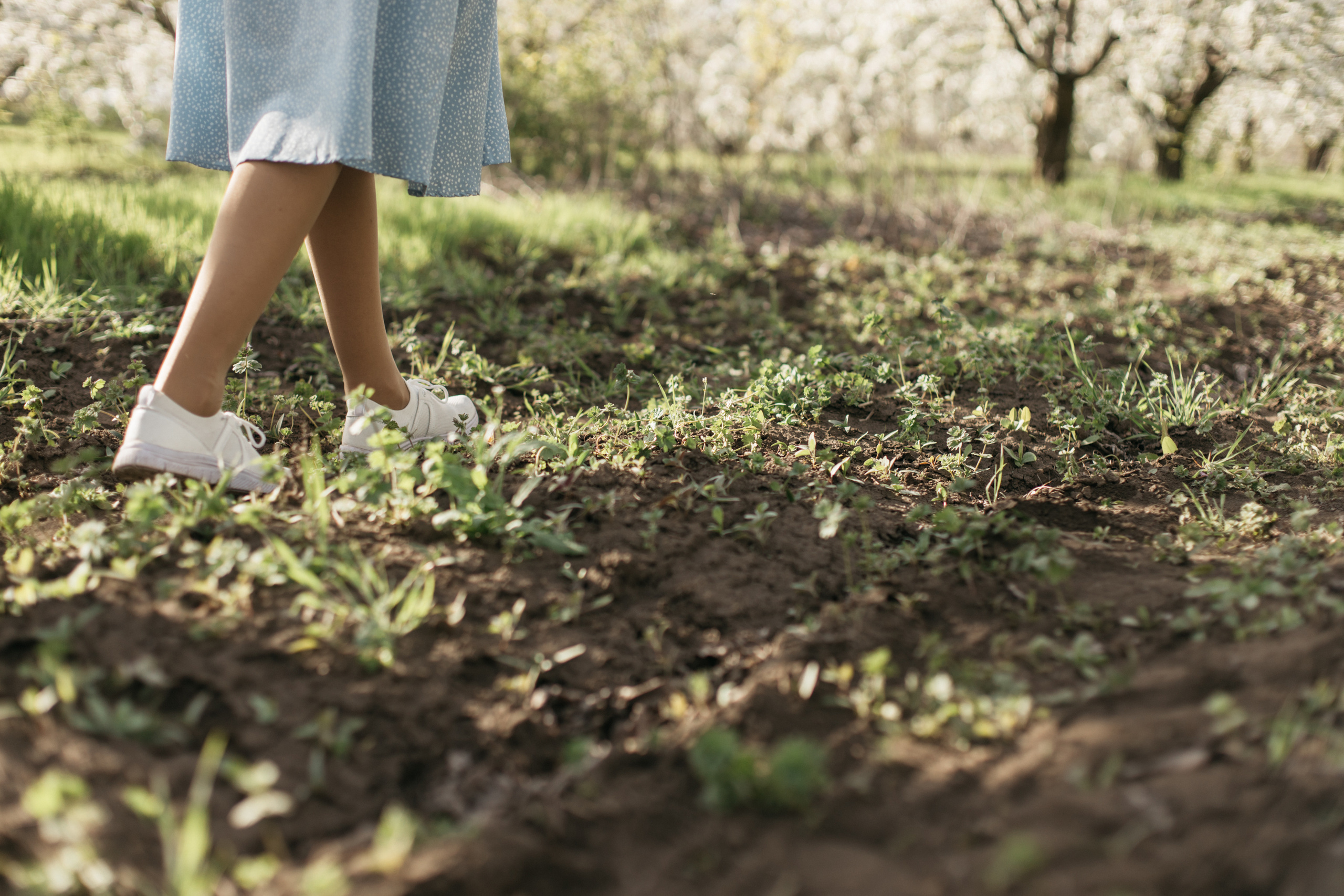 Мария и Алексей. Фотограф Таганрог Любимая Надя