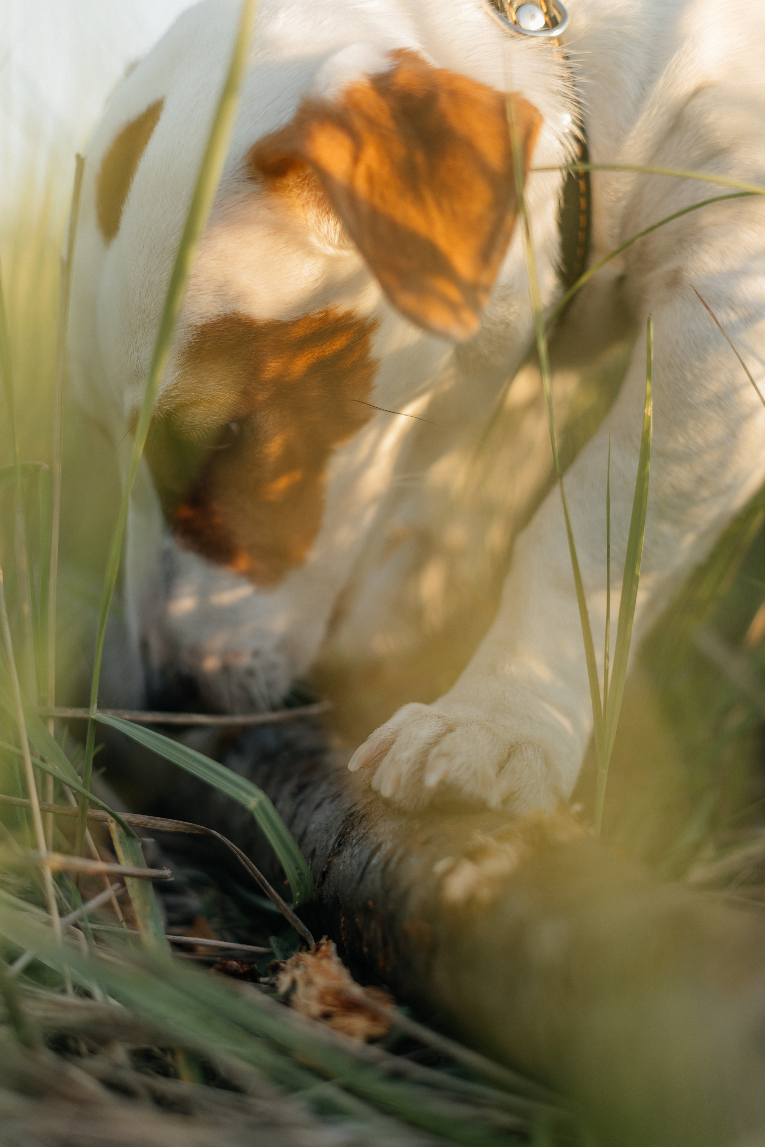 Марина и Гена. Фотограф Таганрог Любимая Надя