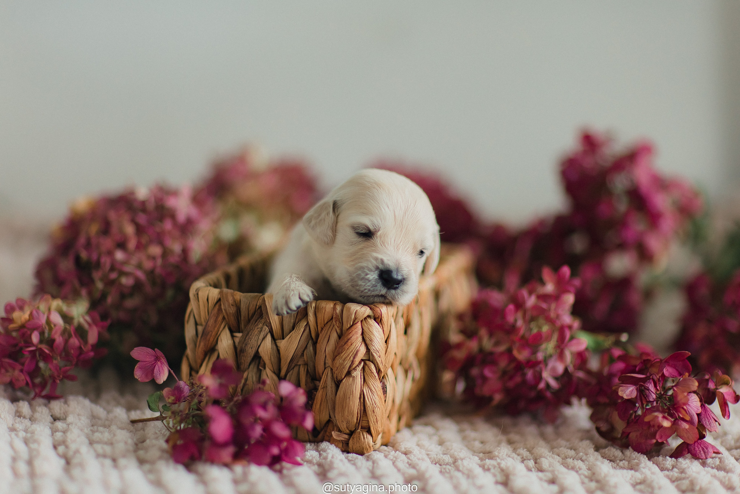 Белая лента. Свадебный и женский фотограф