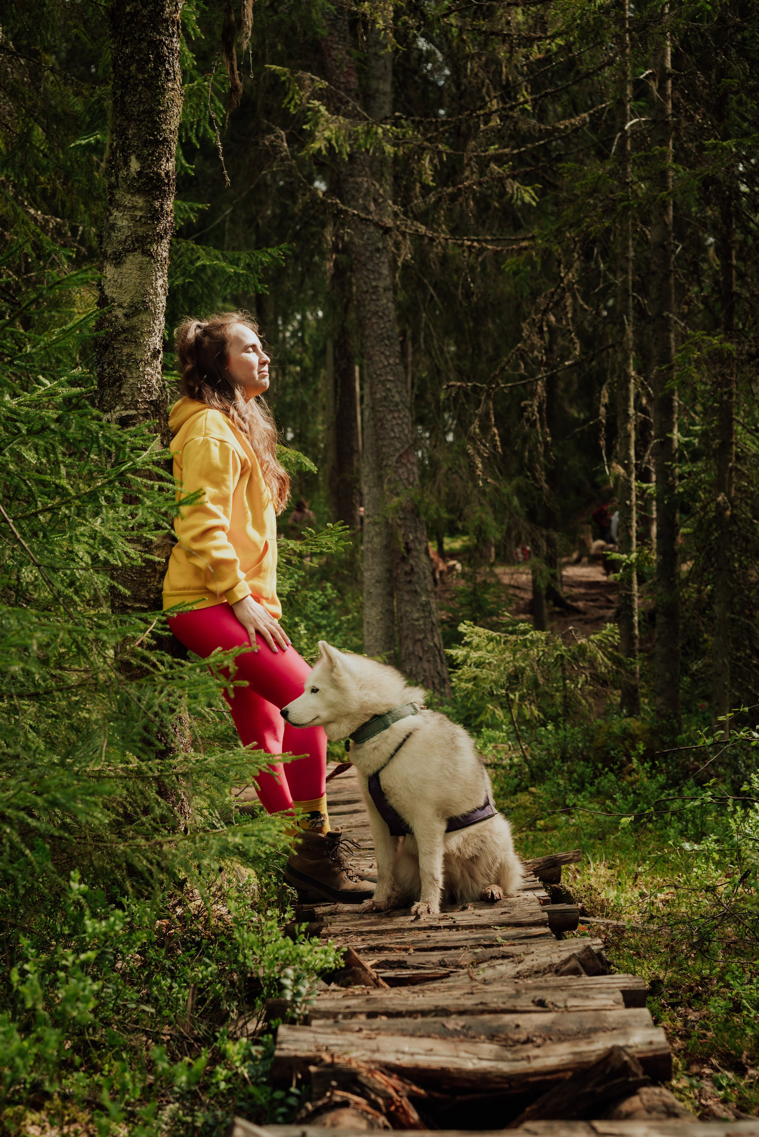 Догтрекинг. Фотограф в Санкт-Петербурге и Ленинградской области