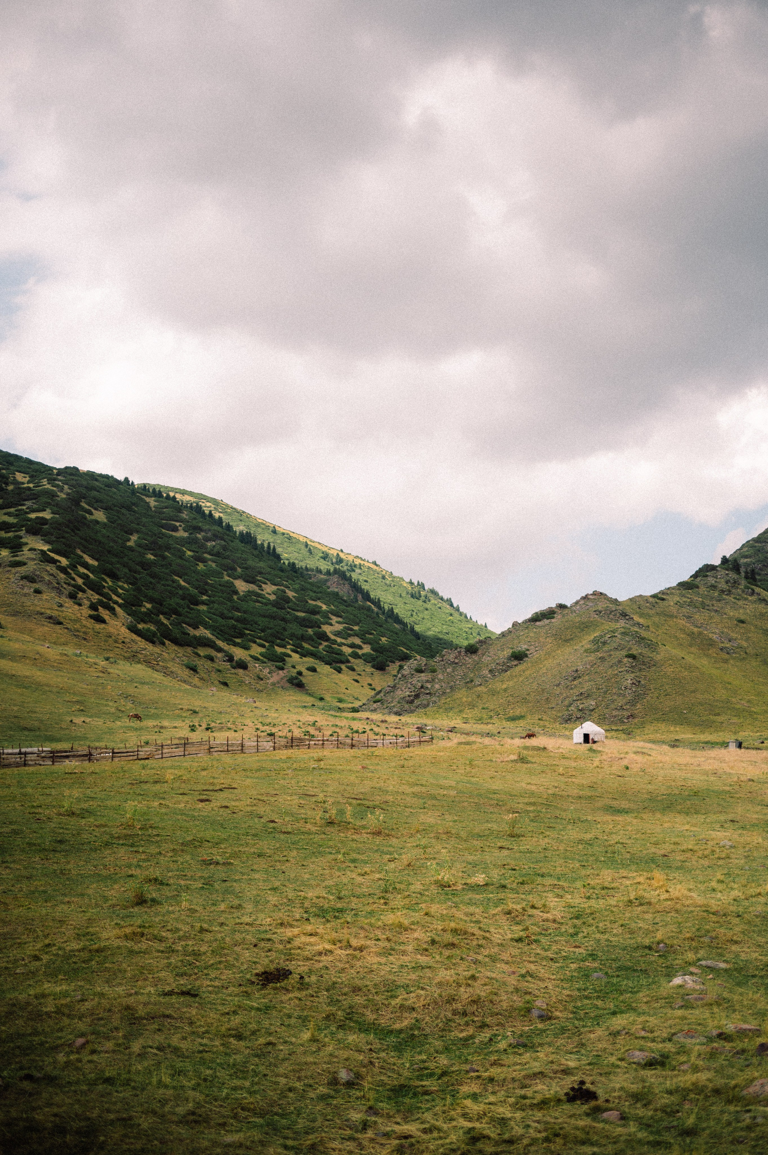 Плато Ассы: июль 2025. Фотограф в Алматы — Дарья Фёдорова