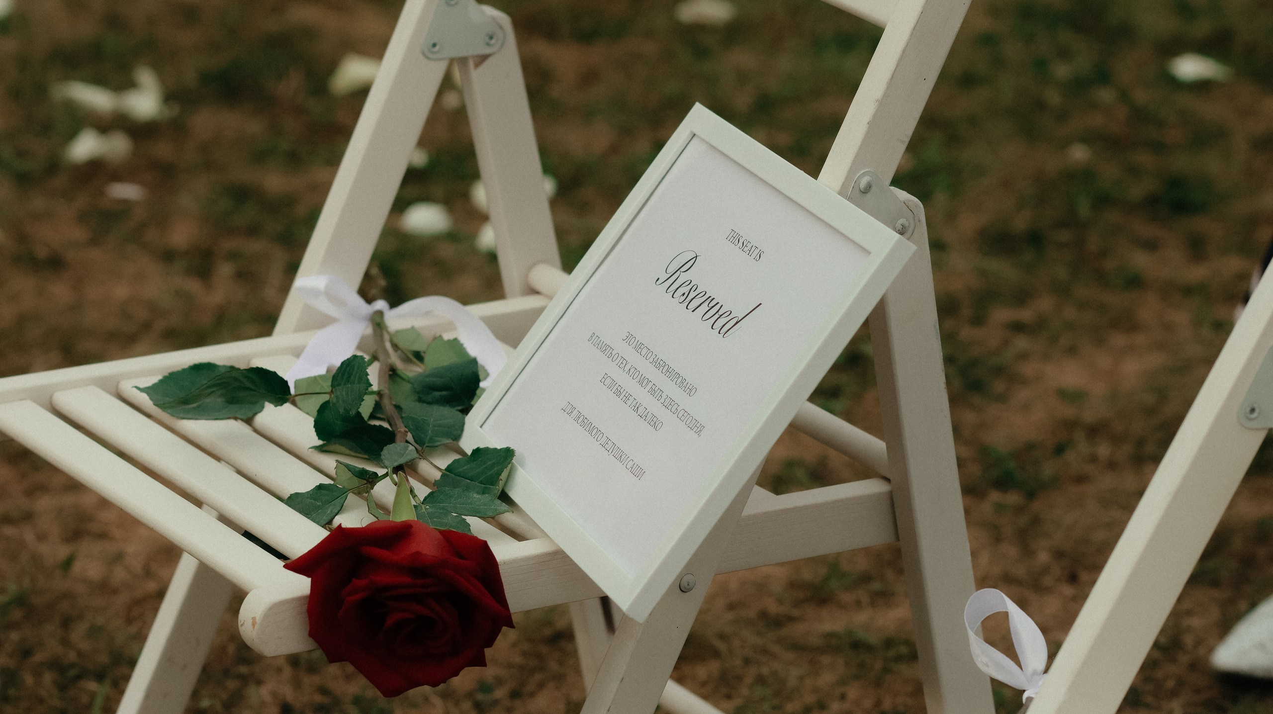 Торжество в Алексеевке. Свадебный и репортажный фотограф Дмитрий Кононенко