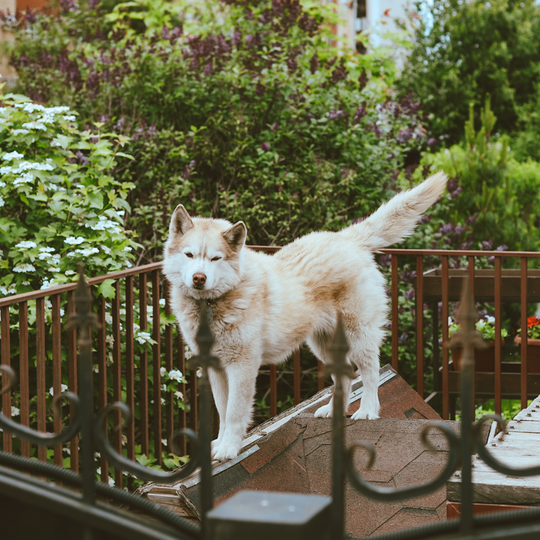 Ханты. Больше не греет