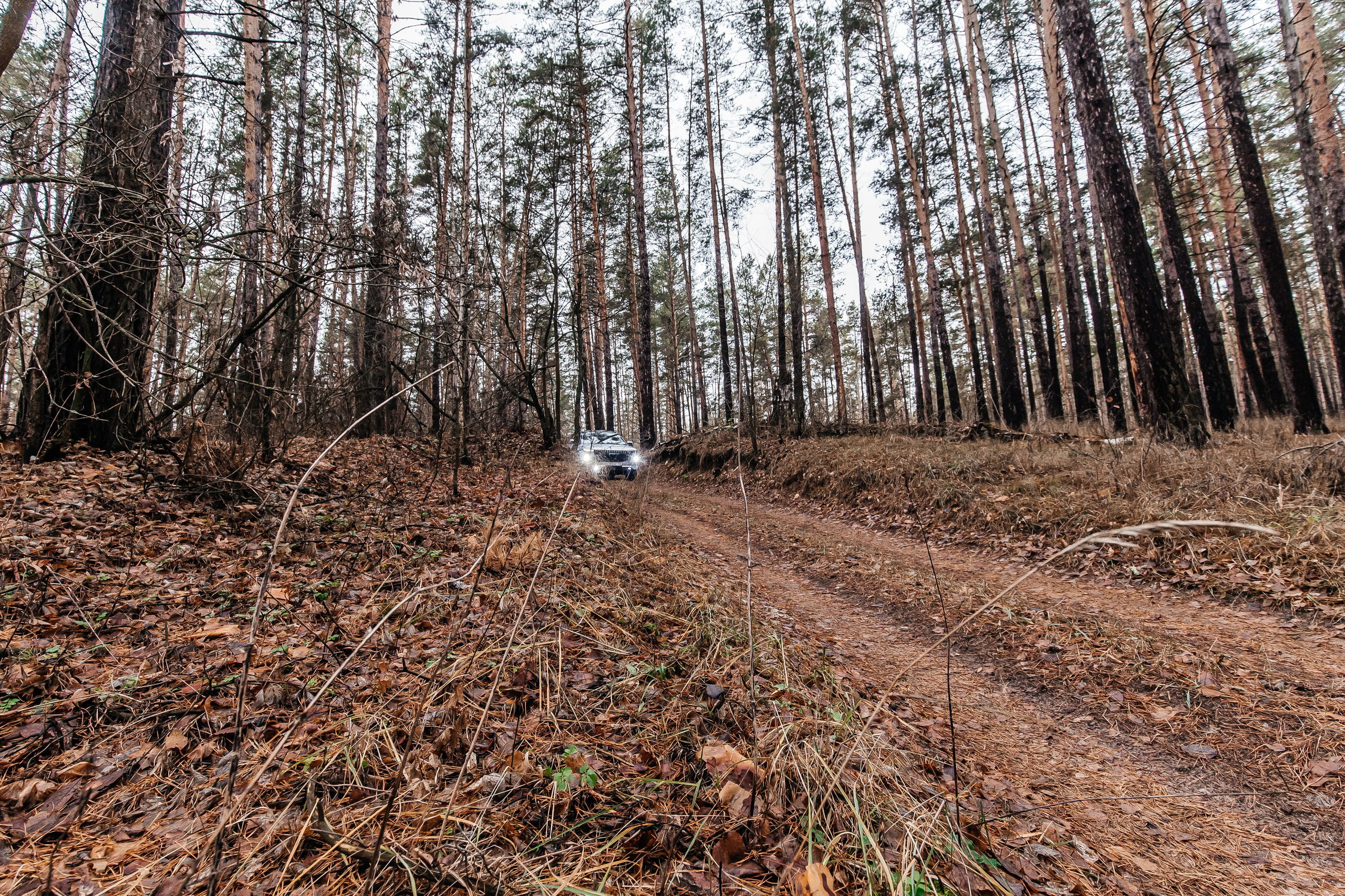 Jaecoo J7 3.0. Фотограф в Самаре / Олеся Широнина