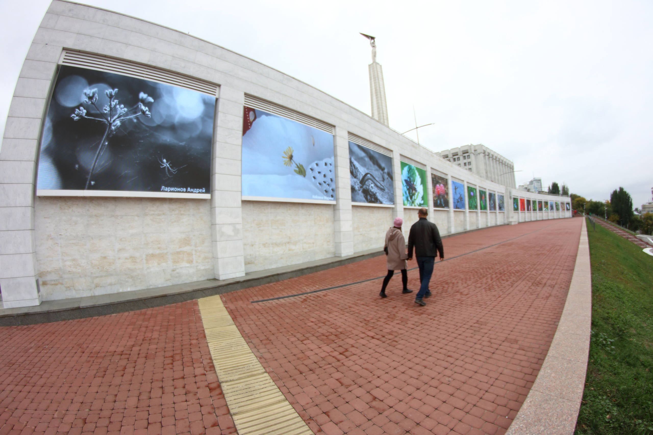 03.10.2021 Выставка «МакроМагия». Фотообъединение Самарского областного отделения Союза журналистов России
