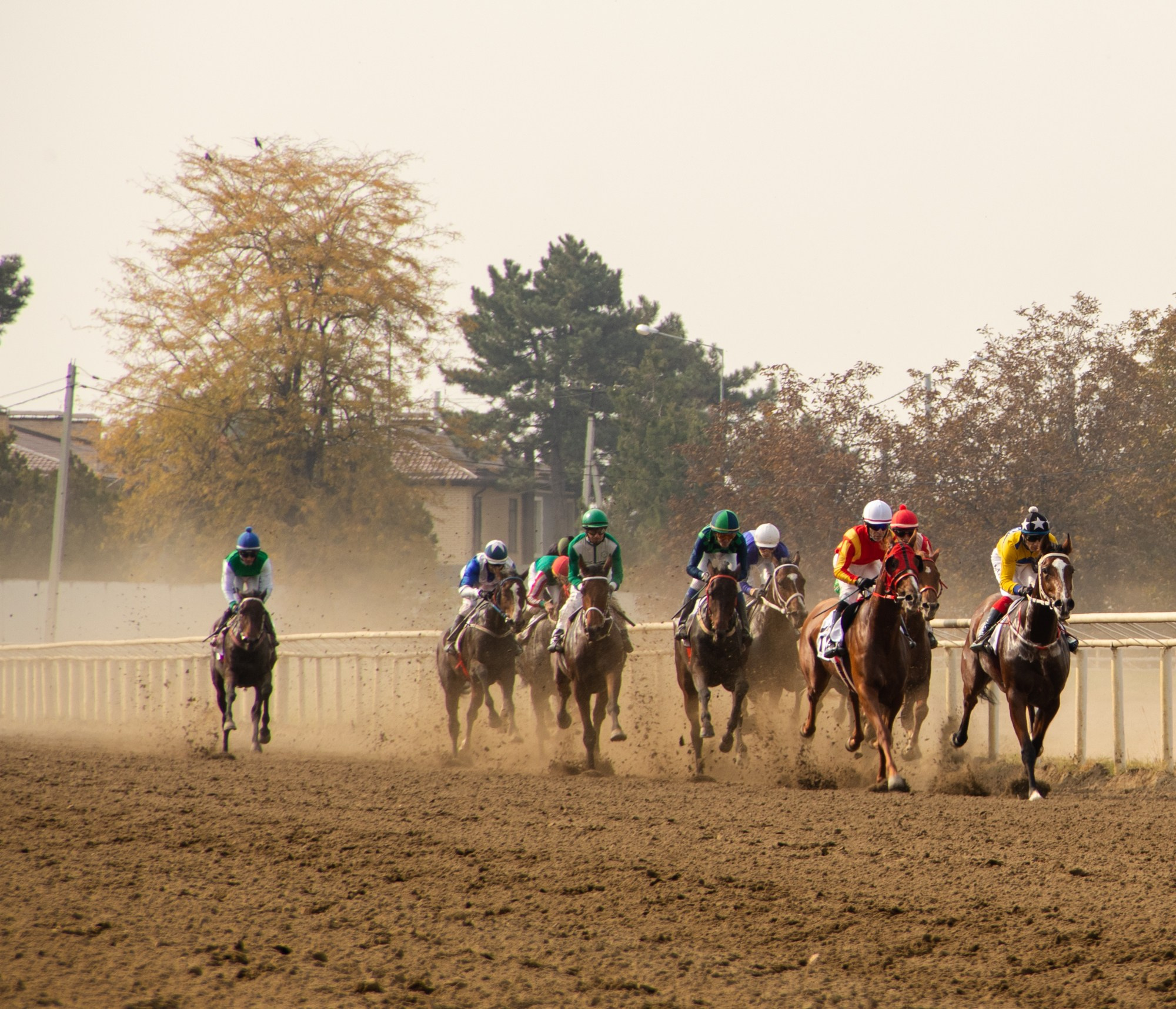 Закрытие скакового сезона на Краснодарском ипподроме. Репортажный, промышленный и маркетплейс-фотограф Дмитрий Чернат