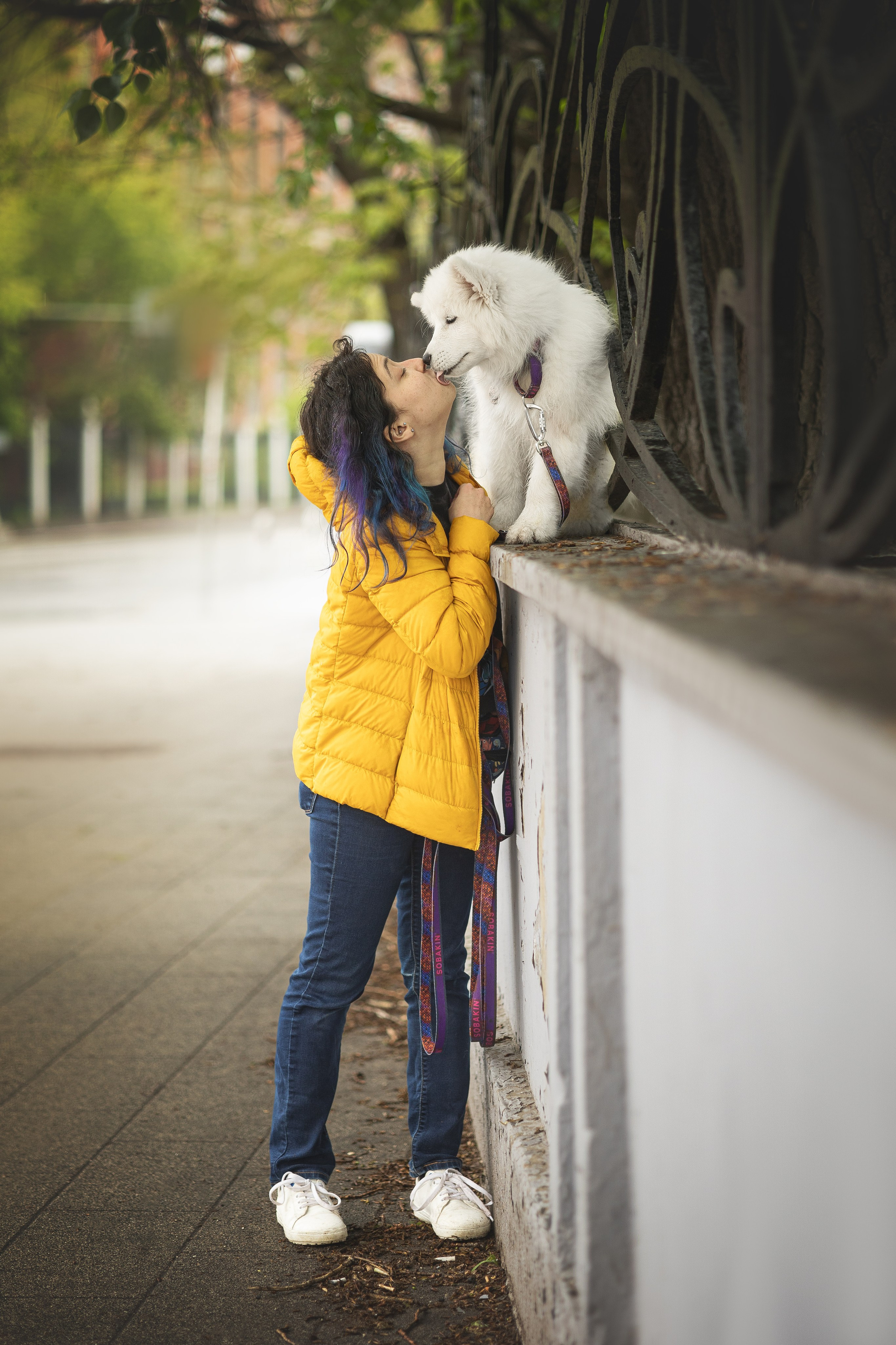 Кая и Даяна. Фотограф анималист в Москве Майорова Евгения