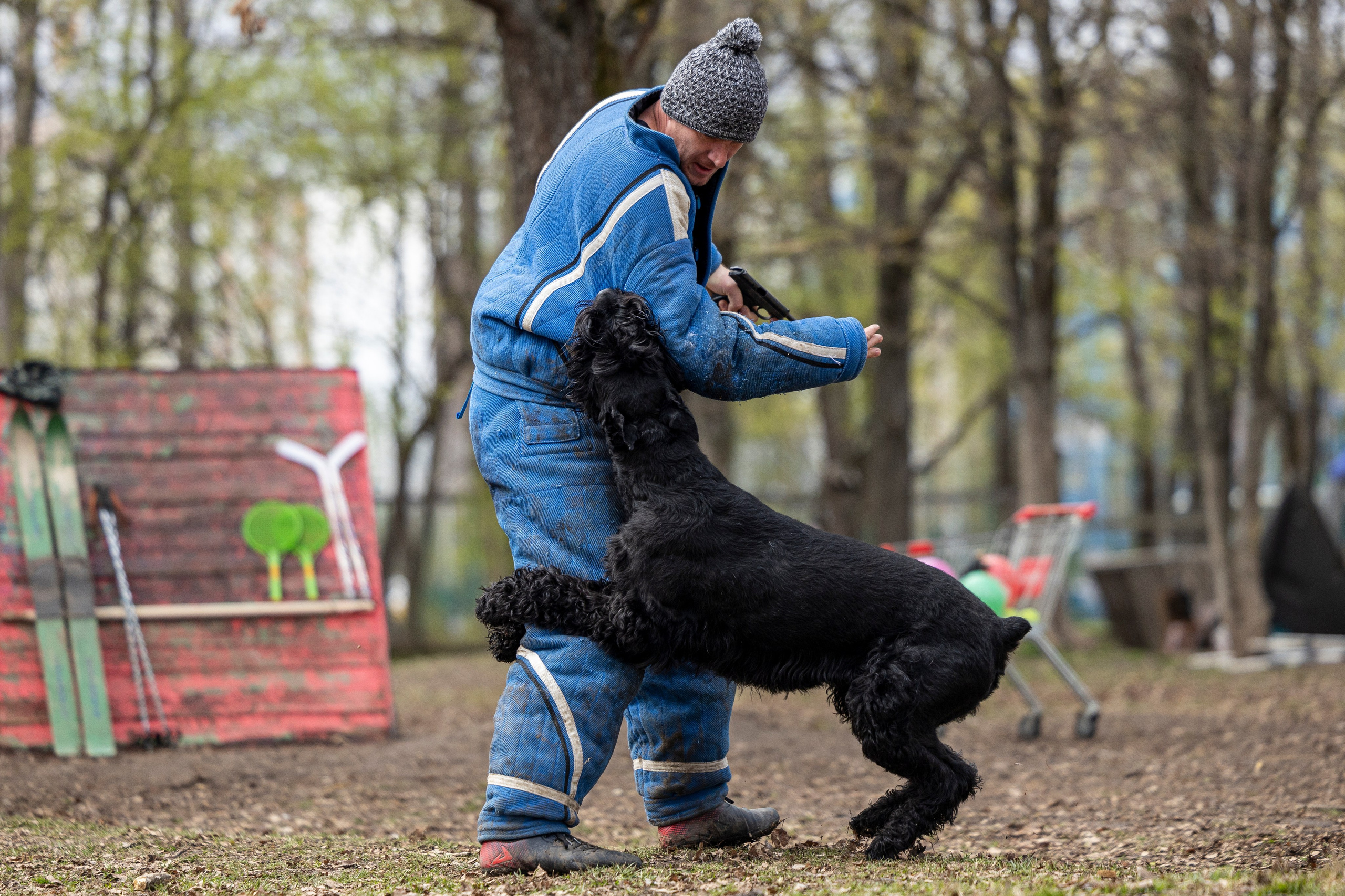 Квалификационные состязания по мондьорингу г. Вологда 11.05.24. Фотограф-анималист Анна Маринич